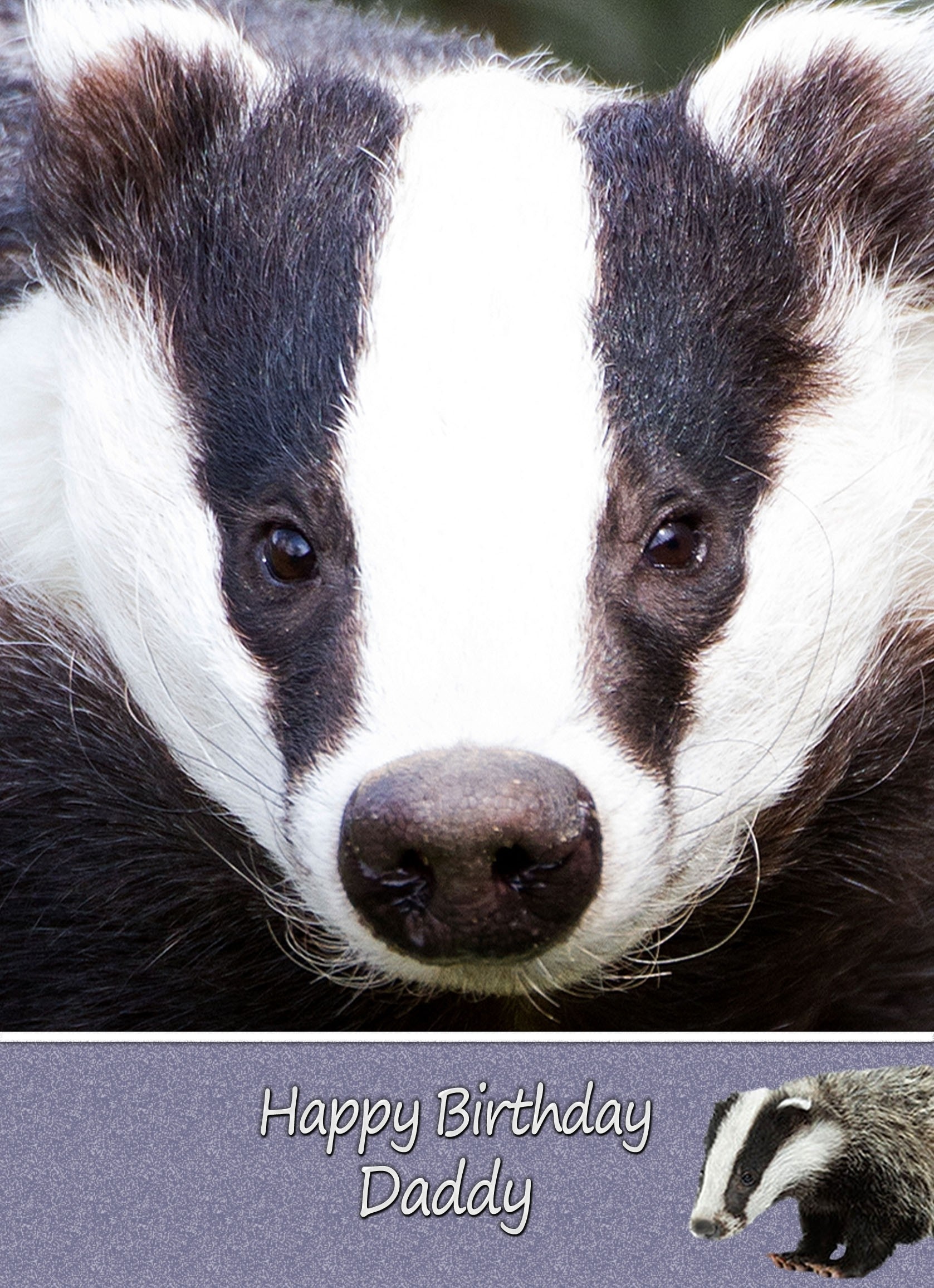 Personalised Badger Card