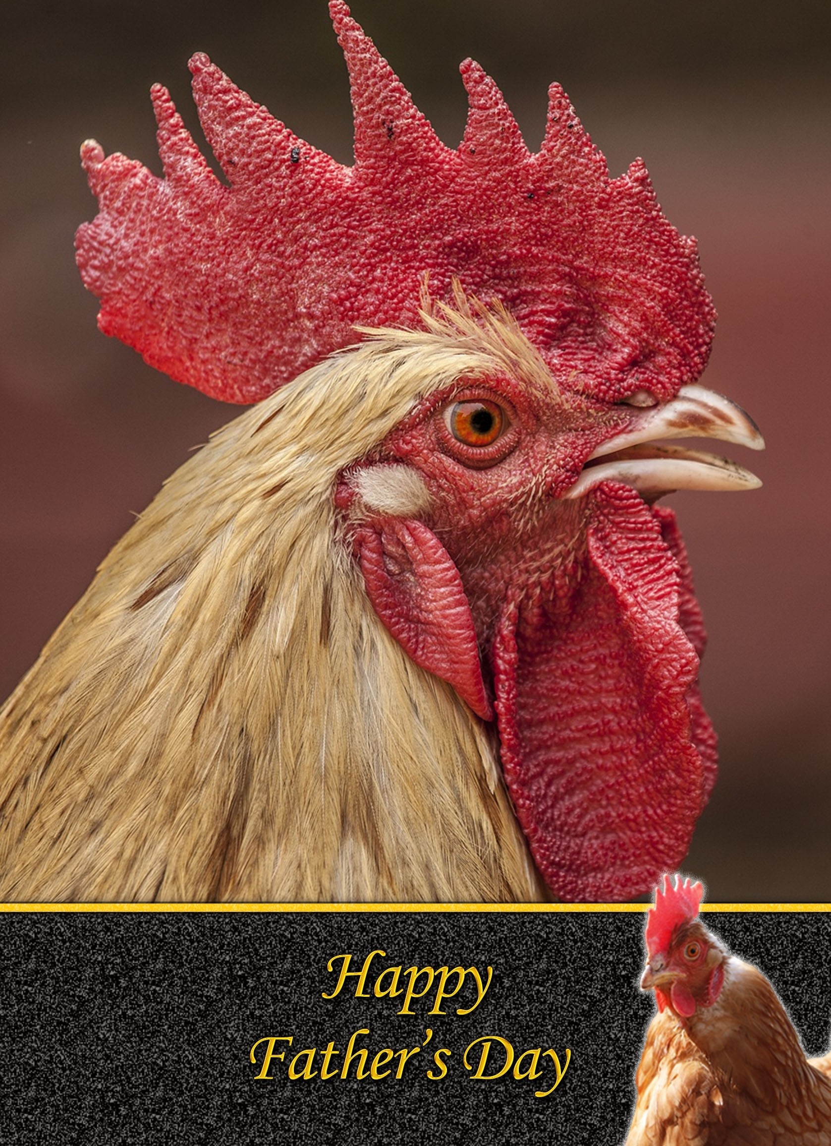 Chicken Father's Day Card