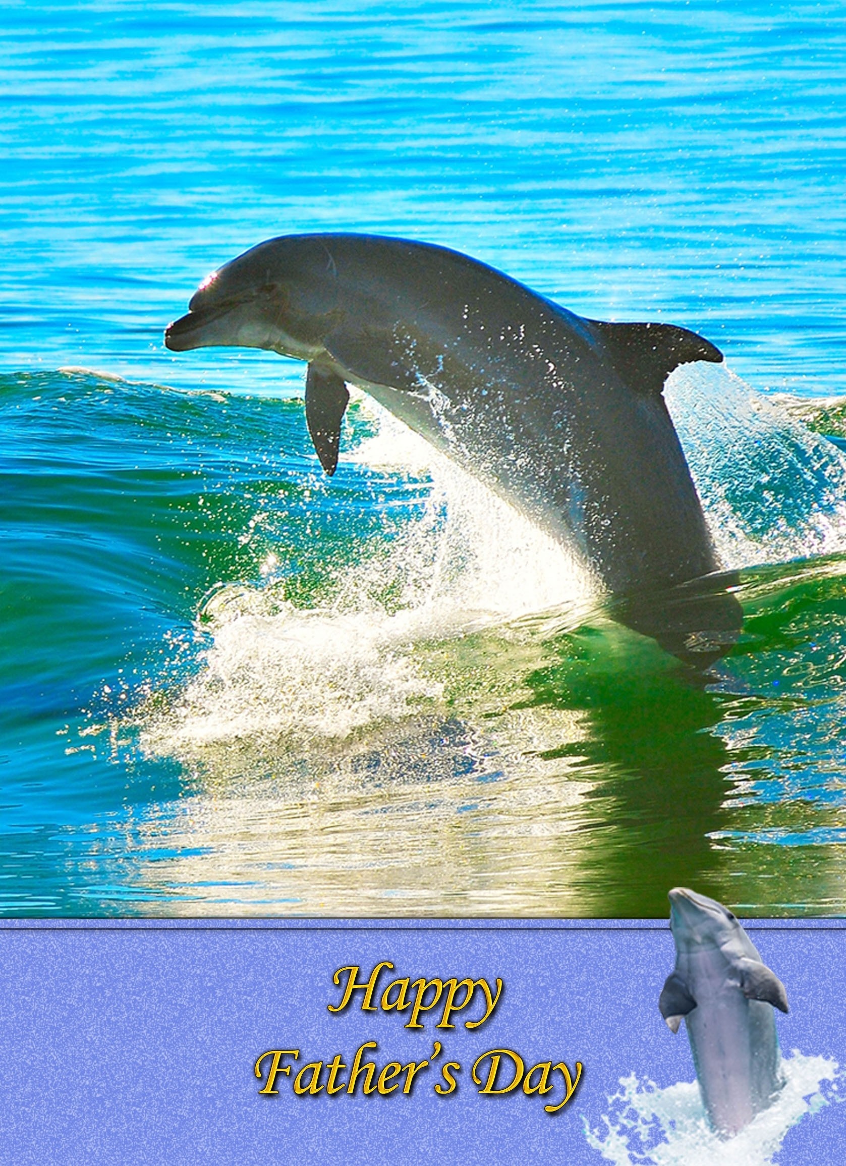 Dolphin Father's Day Card
