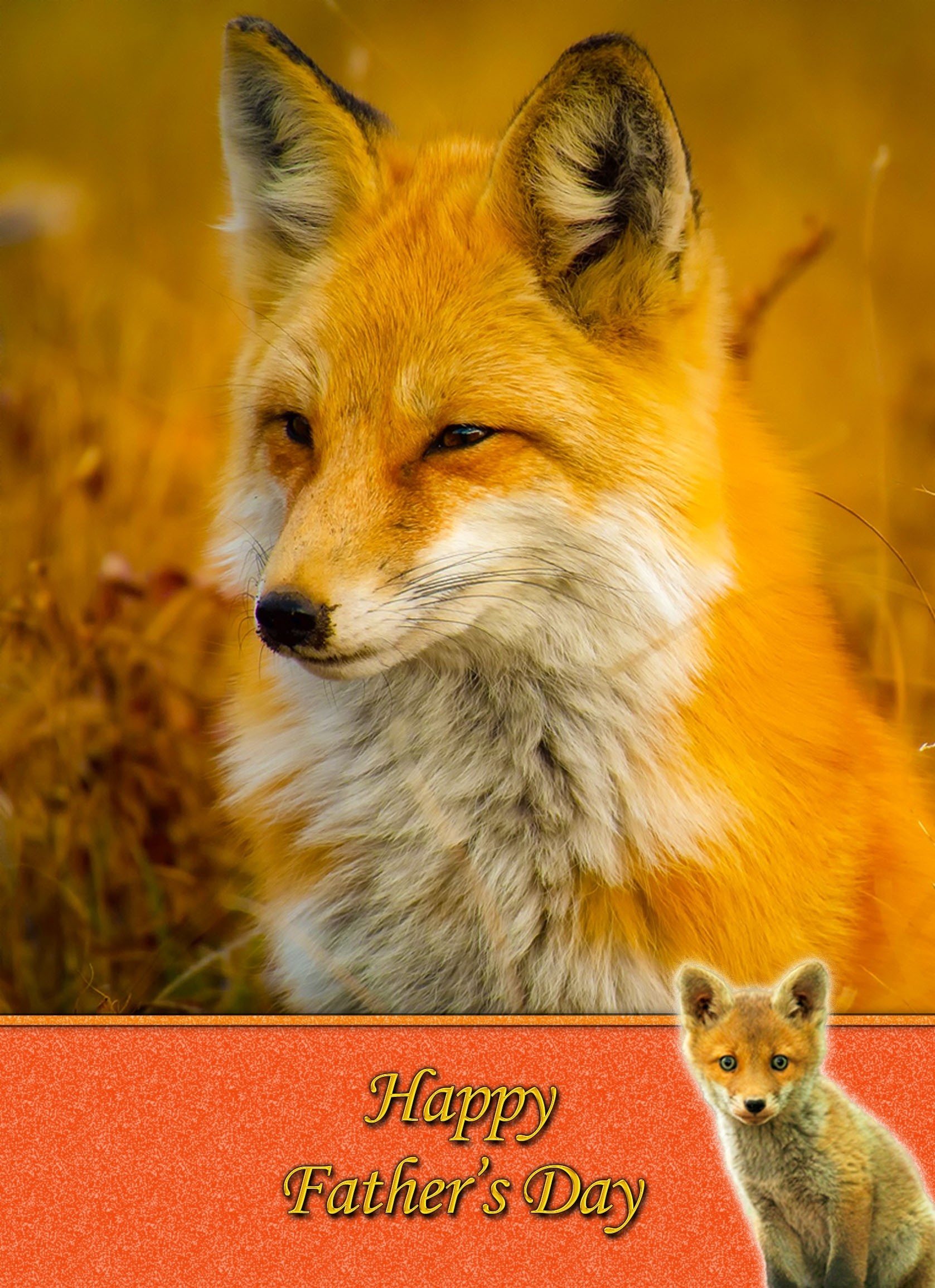 Fox Father's Day Card