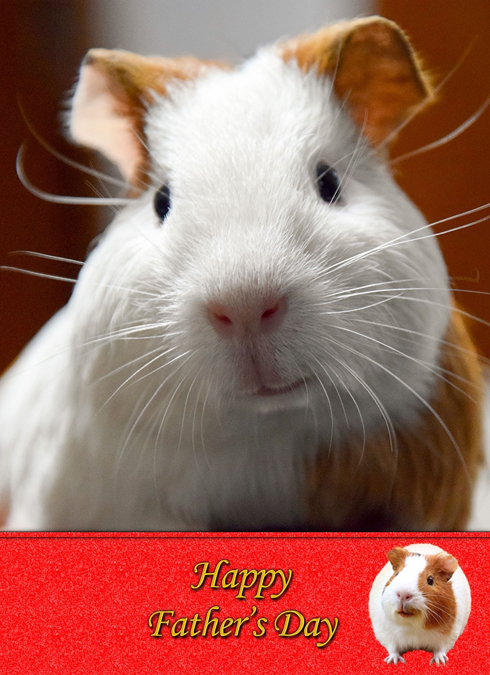 Guinea Pig Father's Day Card