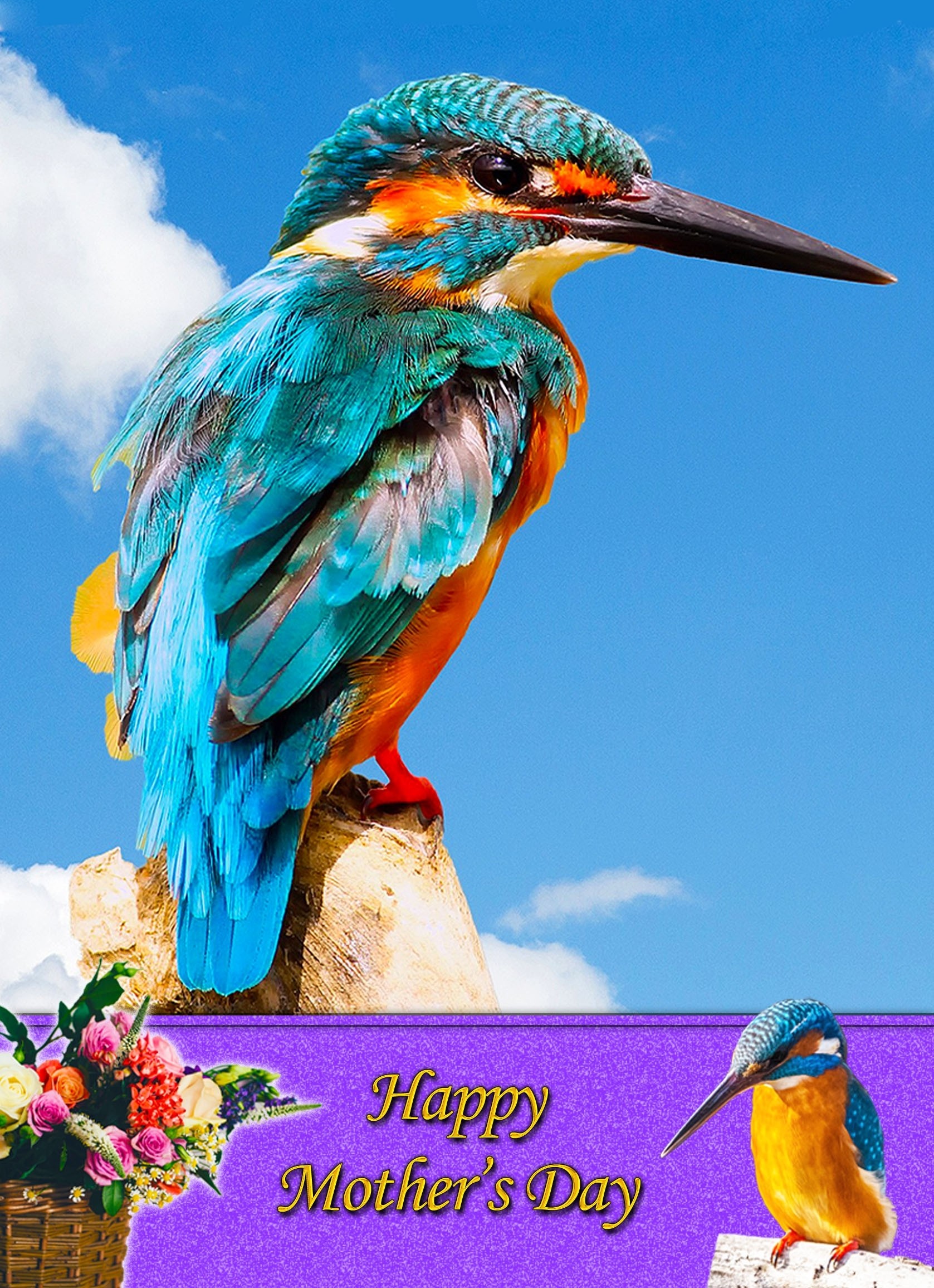 Kingfisher Mother's Day Card
