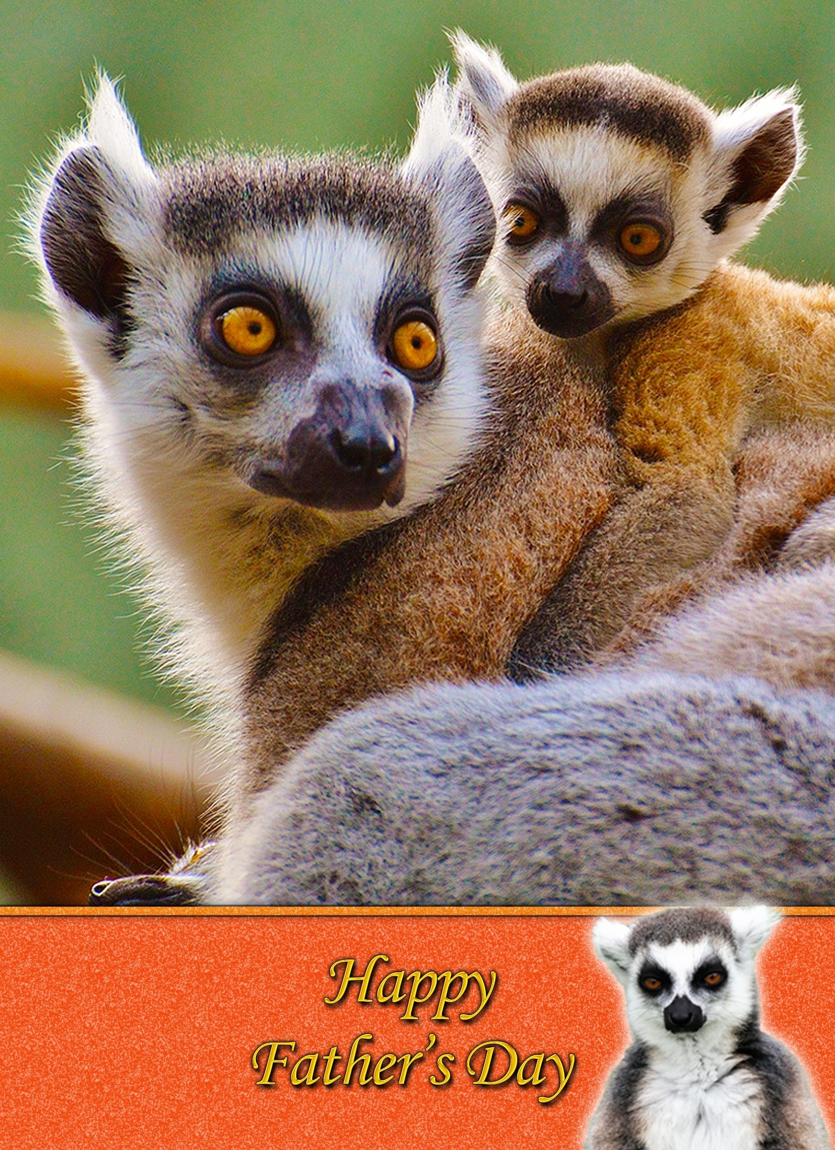 Lemur Father's Day Card