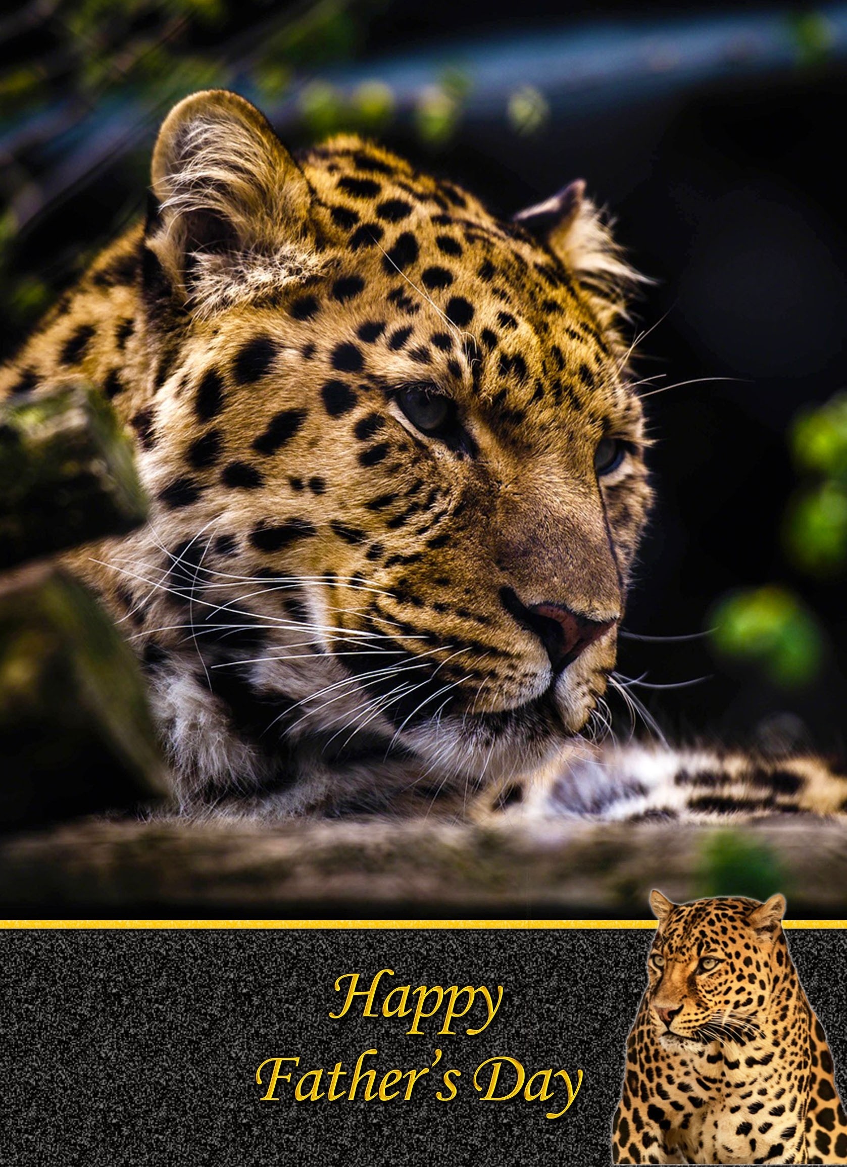 Leopard Father's Day Card
