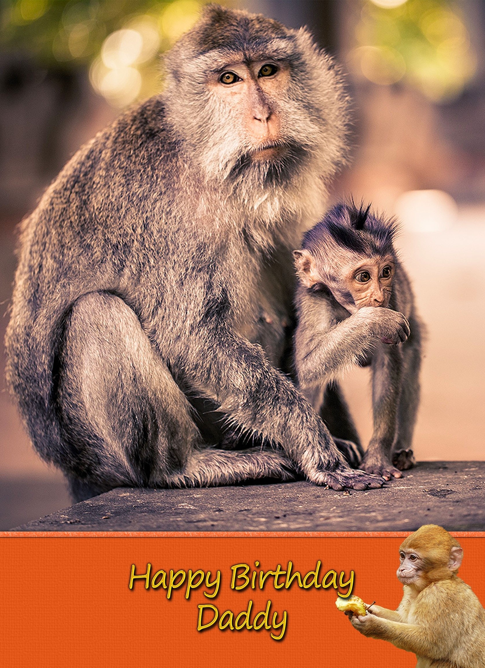 Personalised Monkey Card