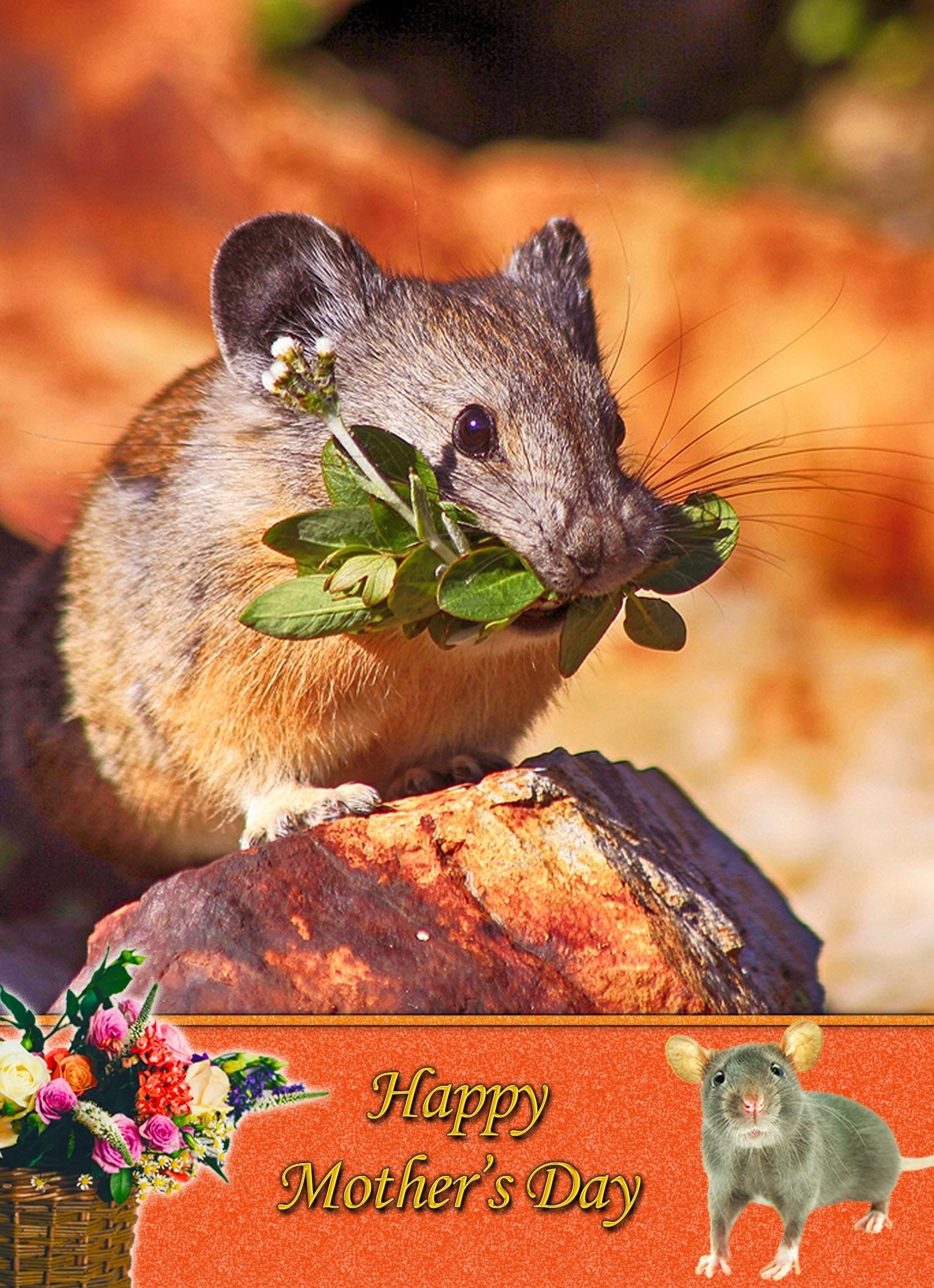 Mouse Mother's Day Card