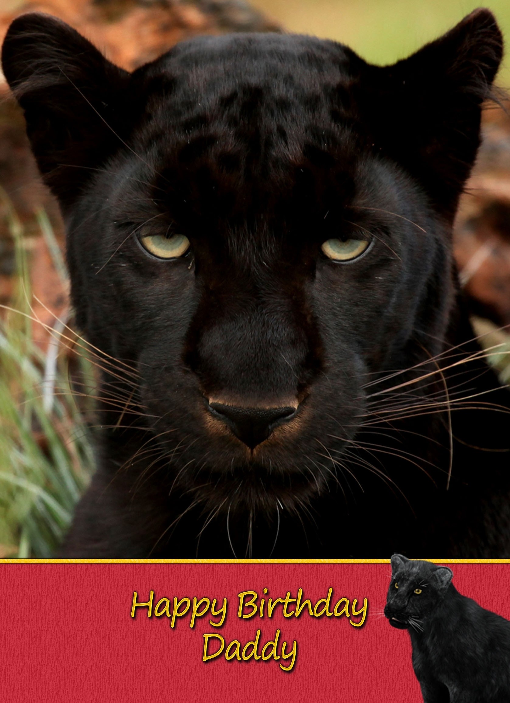 Personalised Black Panther Card
