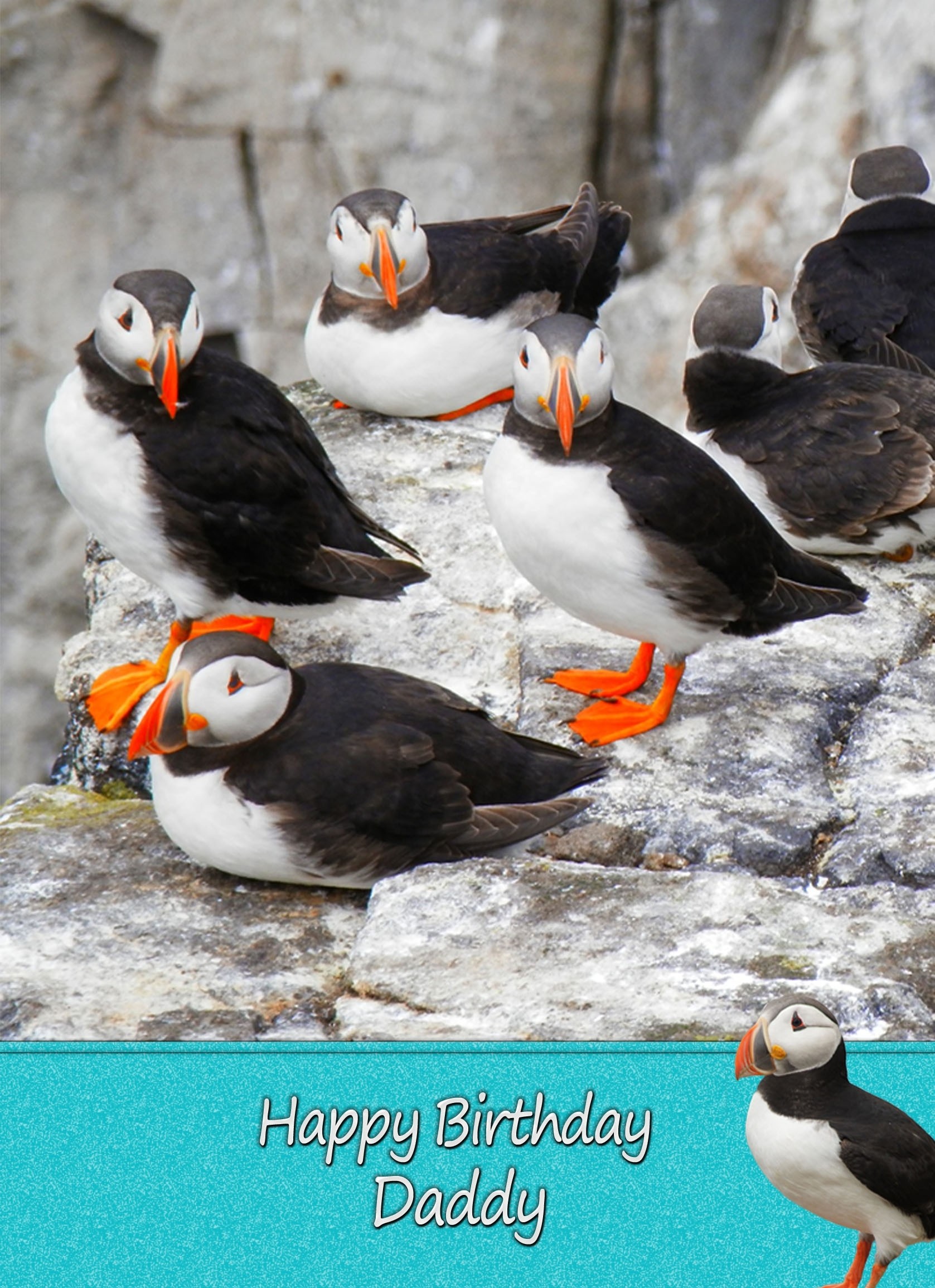 Personalised Puffin Card
