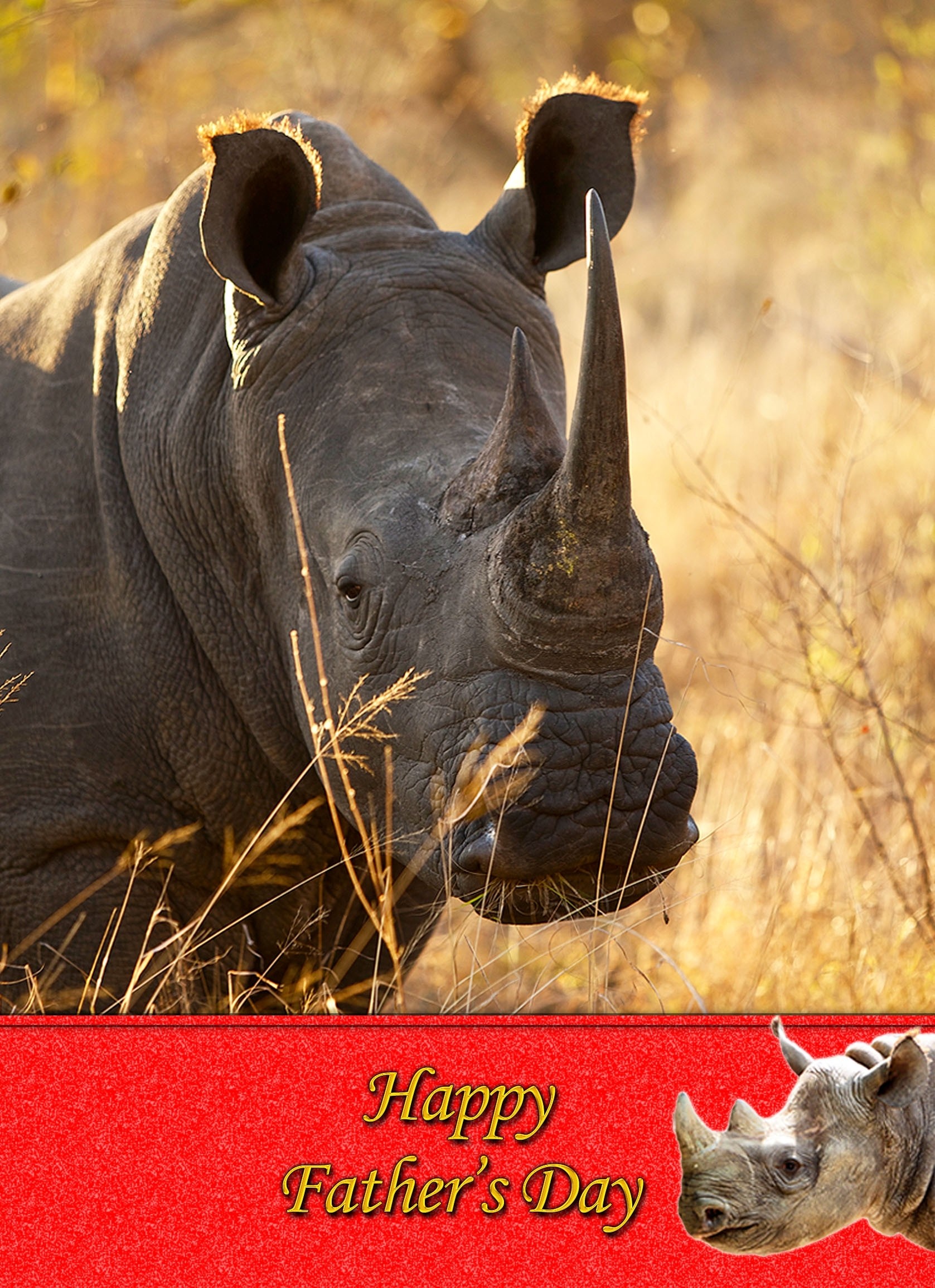 Rhino Father's Day Card 