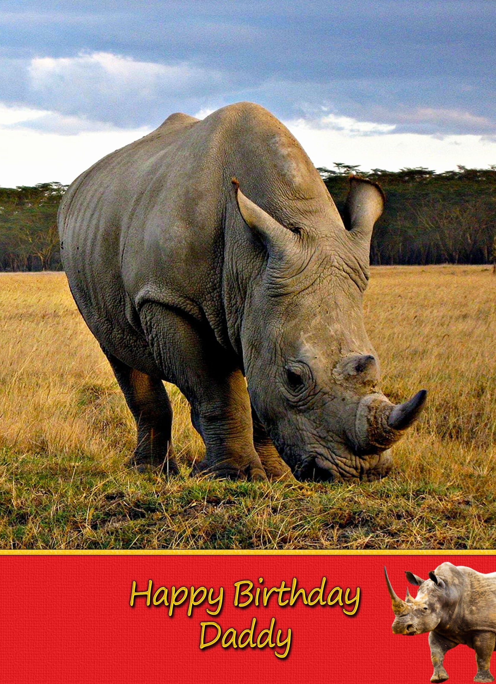 Personalised Rhino Card