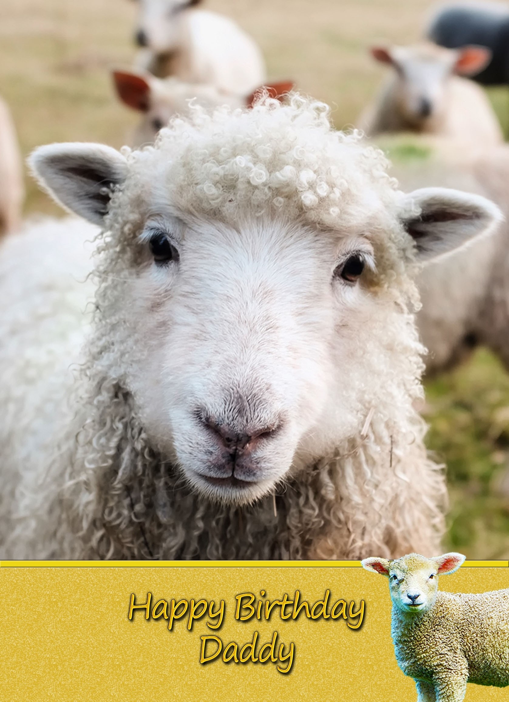 Personalised Sheep Card