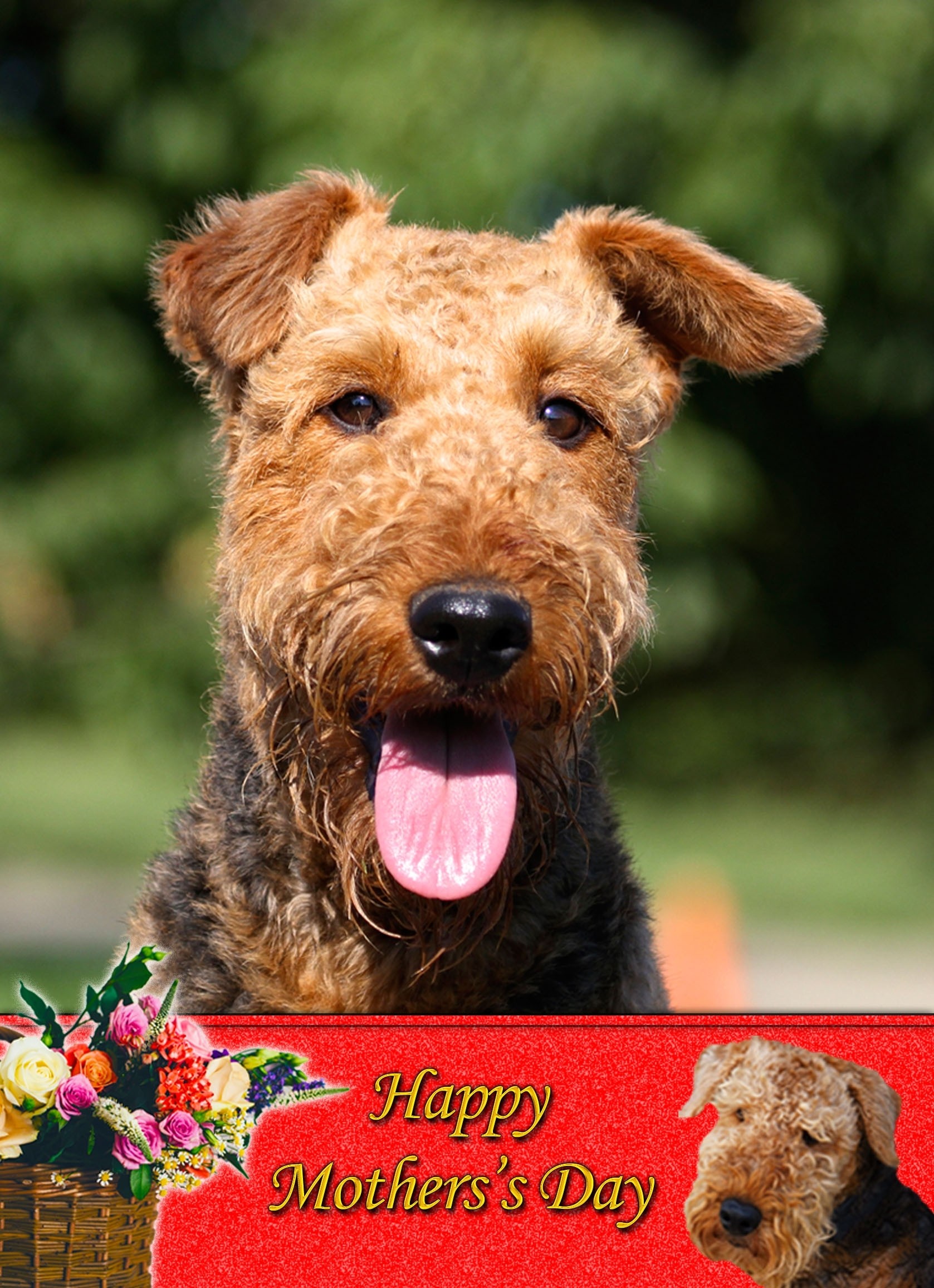 Airedale Terrier Mother's Day Card
