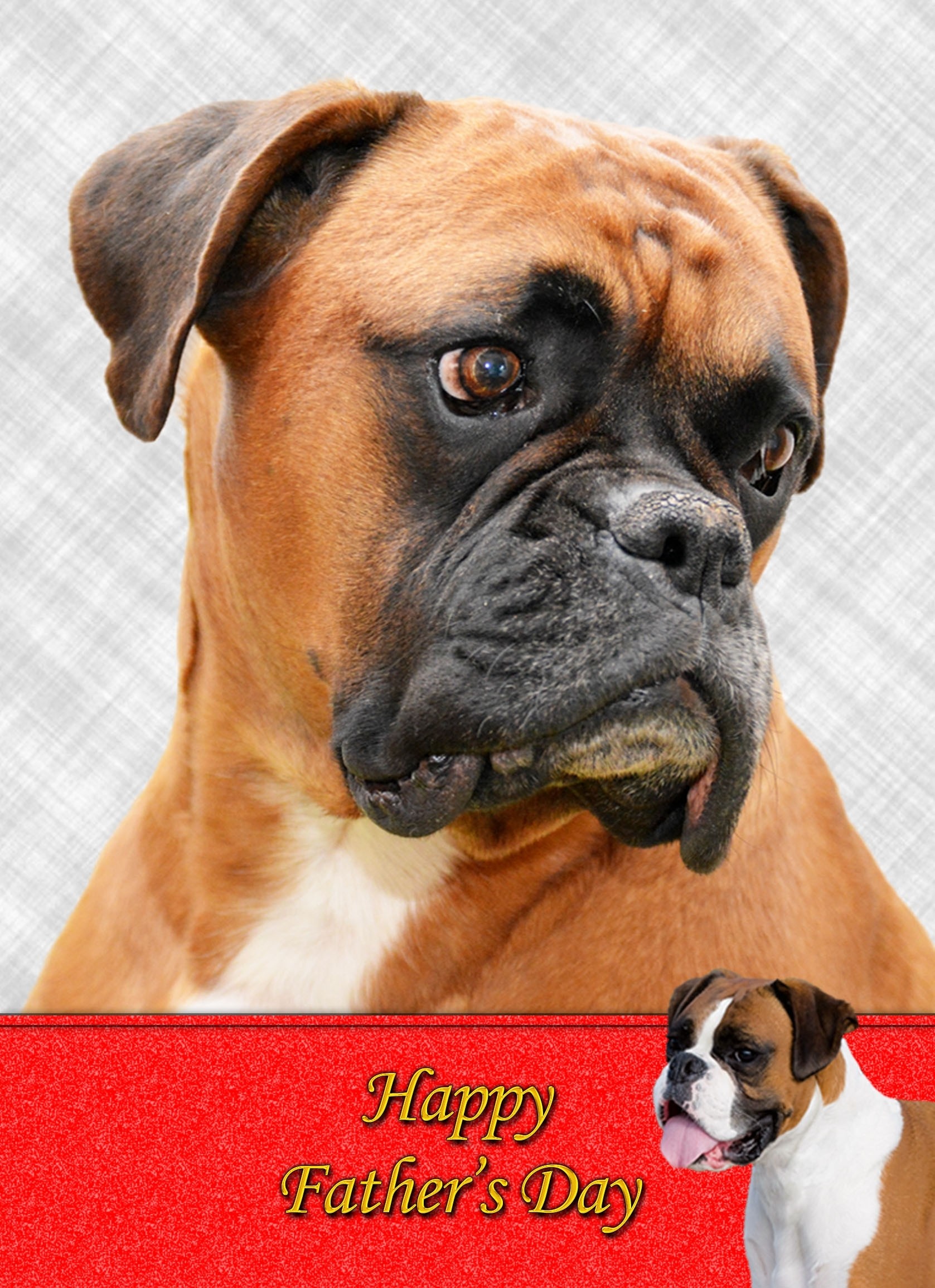 Boxer Father's Day card