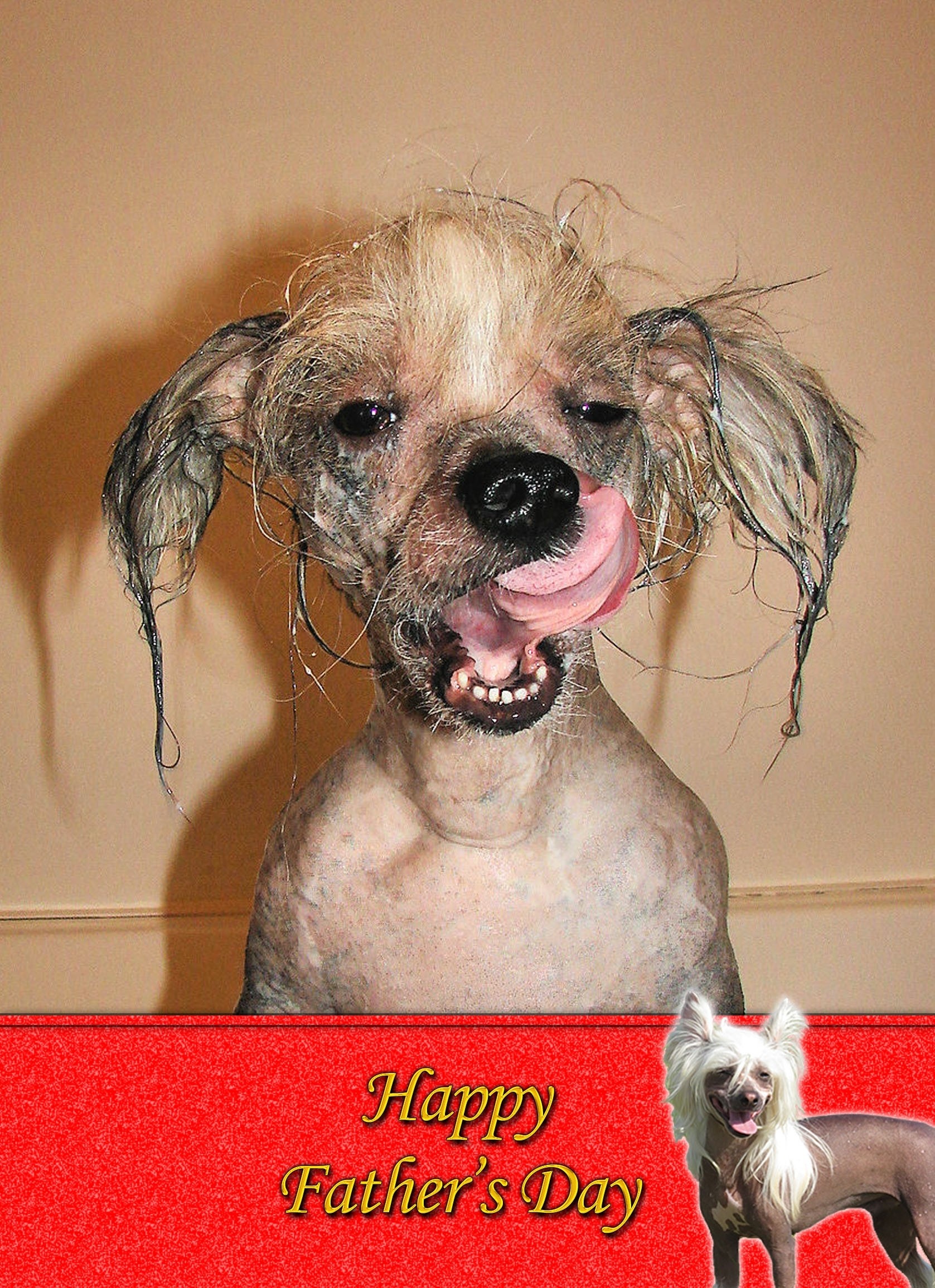 Chinese Crested Father's Day card