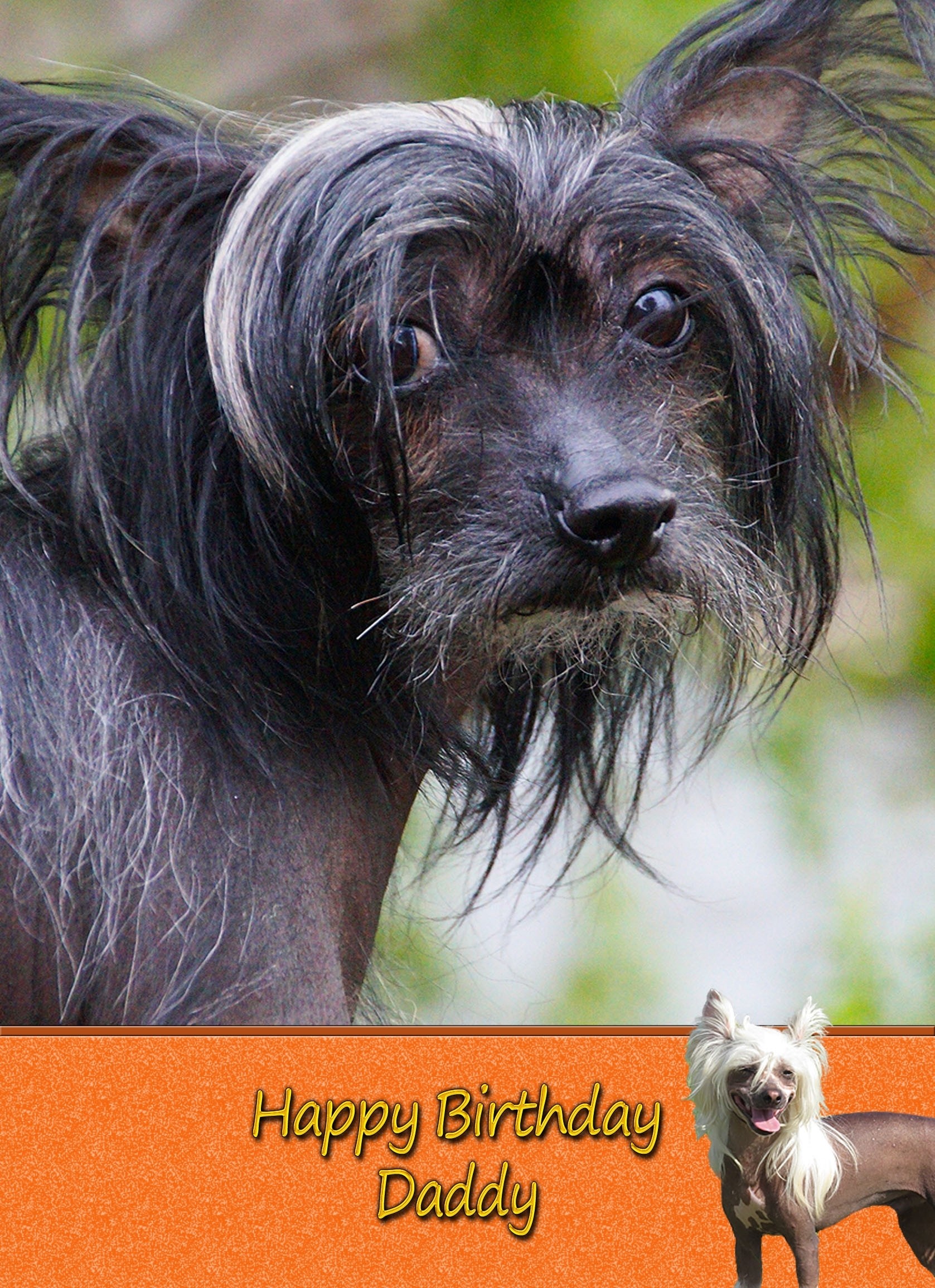 Personalised Chinese Crested Dog Card