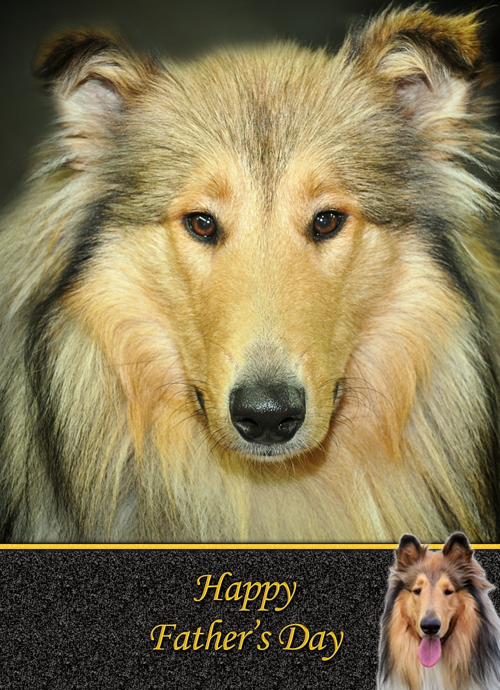 Rough Collie Father's Day Card