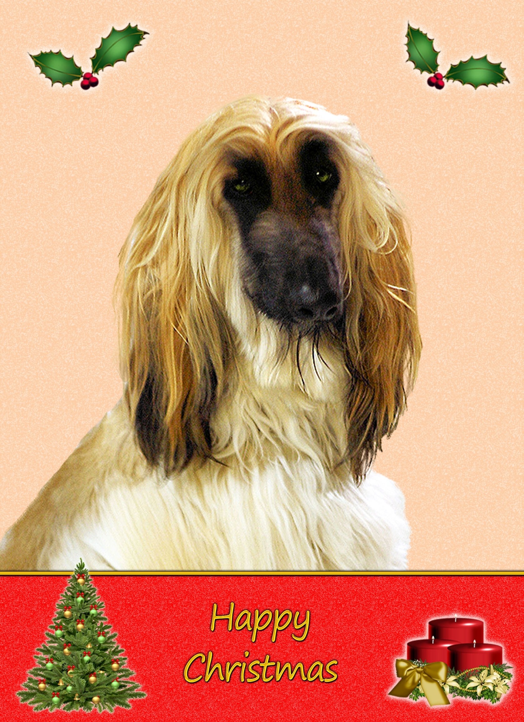 Afghan Hound Christmas Card
