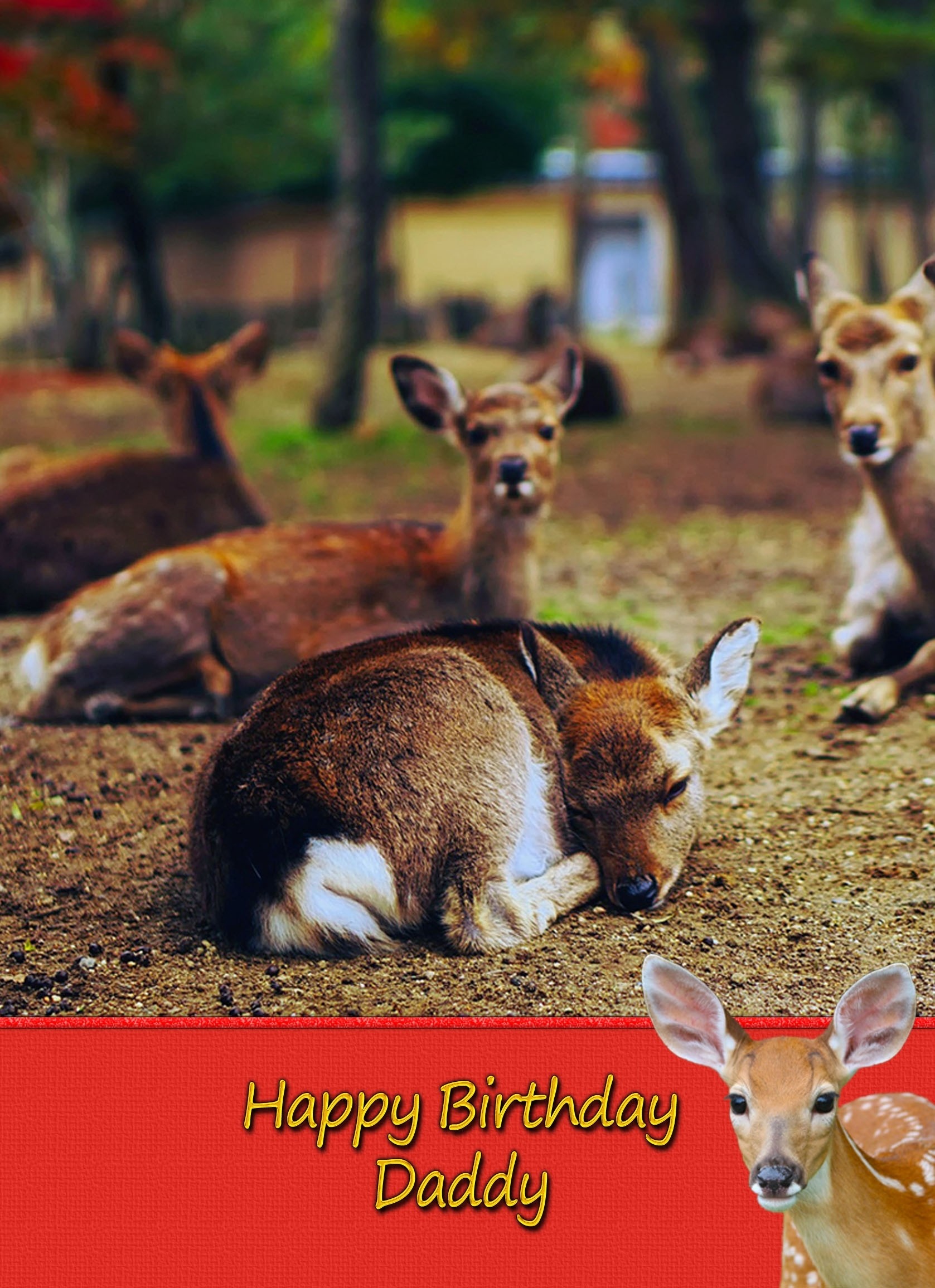 Personalised Deer Card