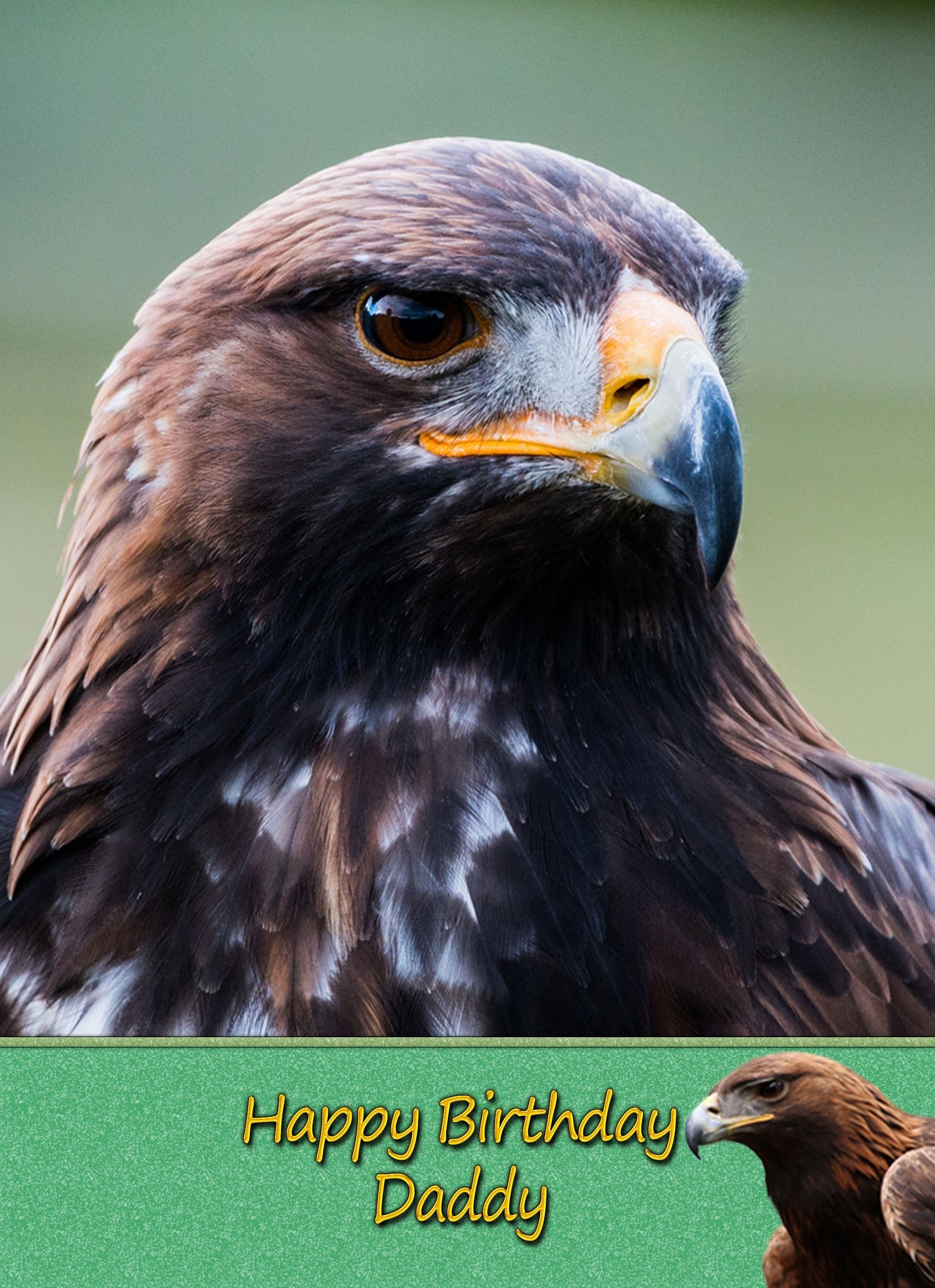 Personalised Eagle Card