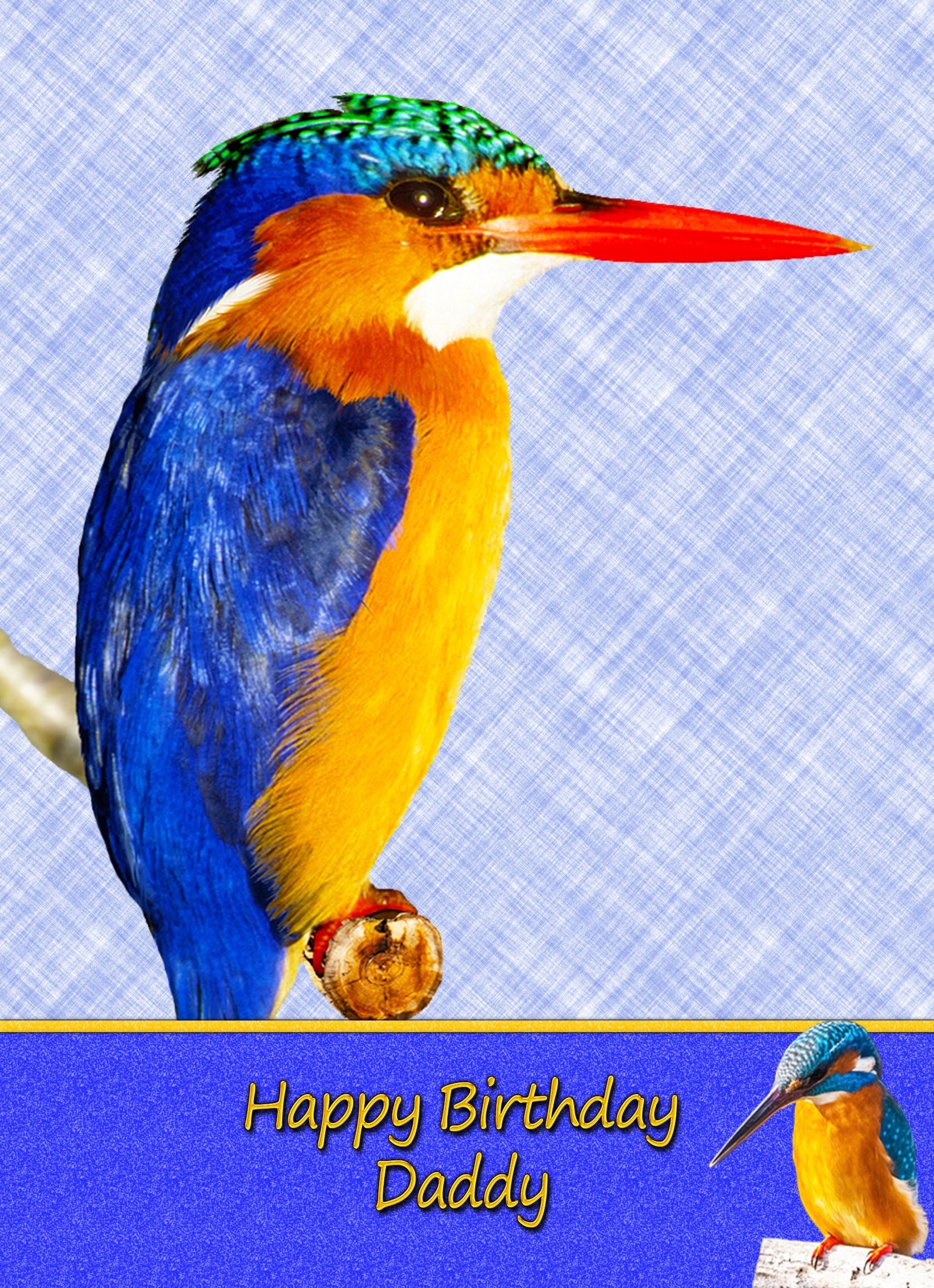 Personalised Kingfisher Card