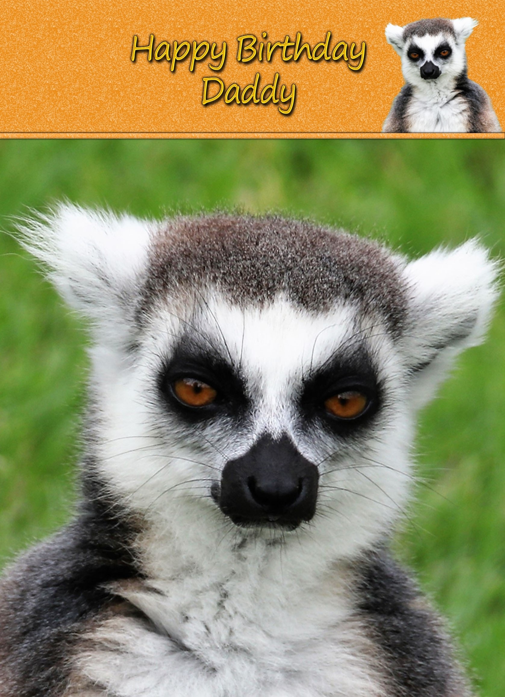 Personalised Lemur Card