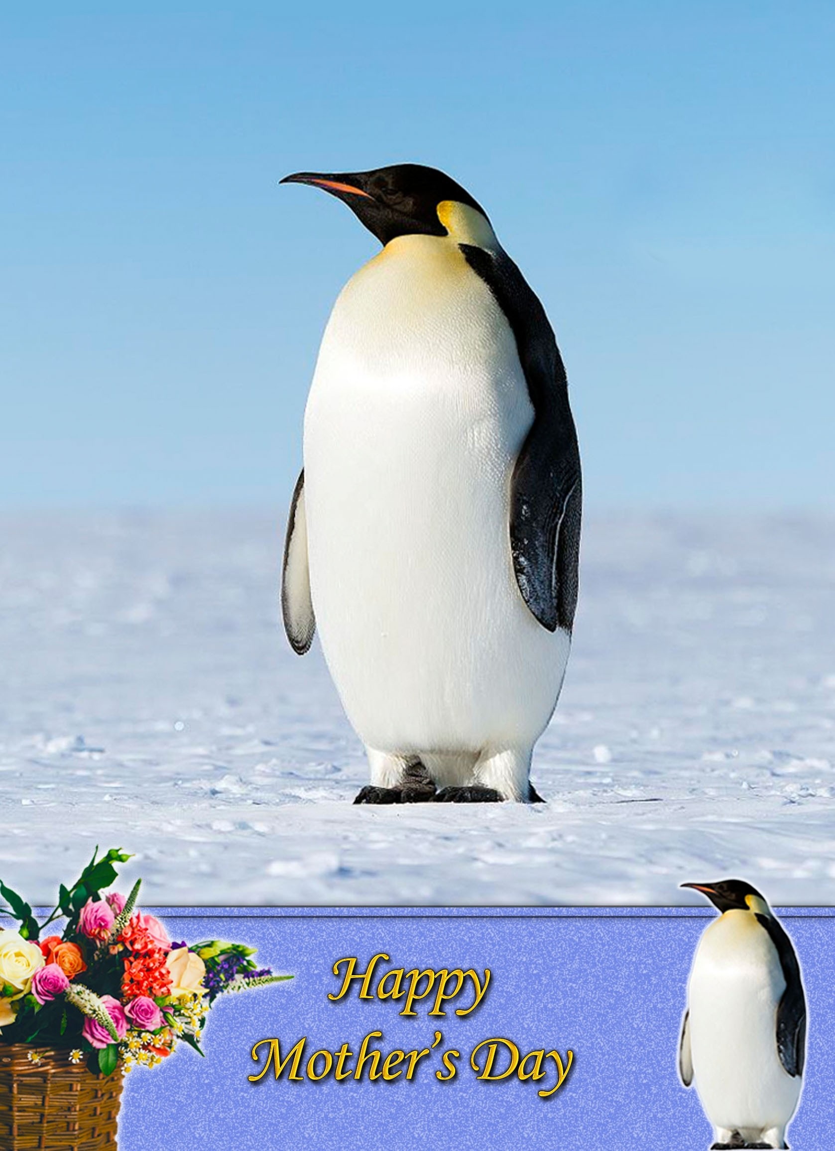 Penguin Mother's Day Card