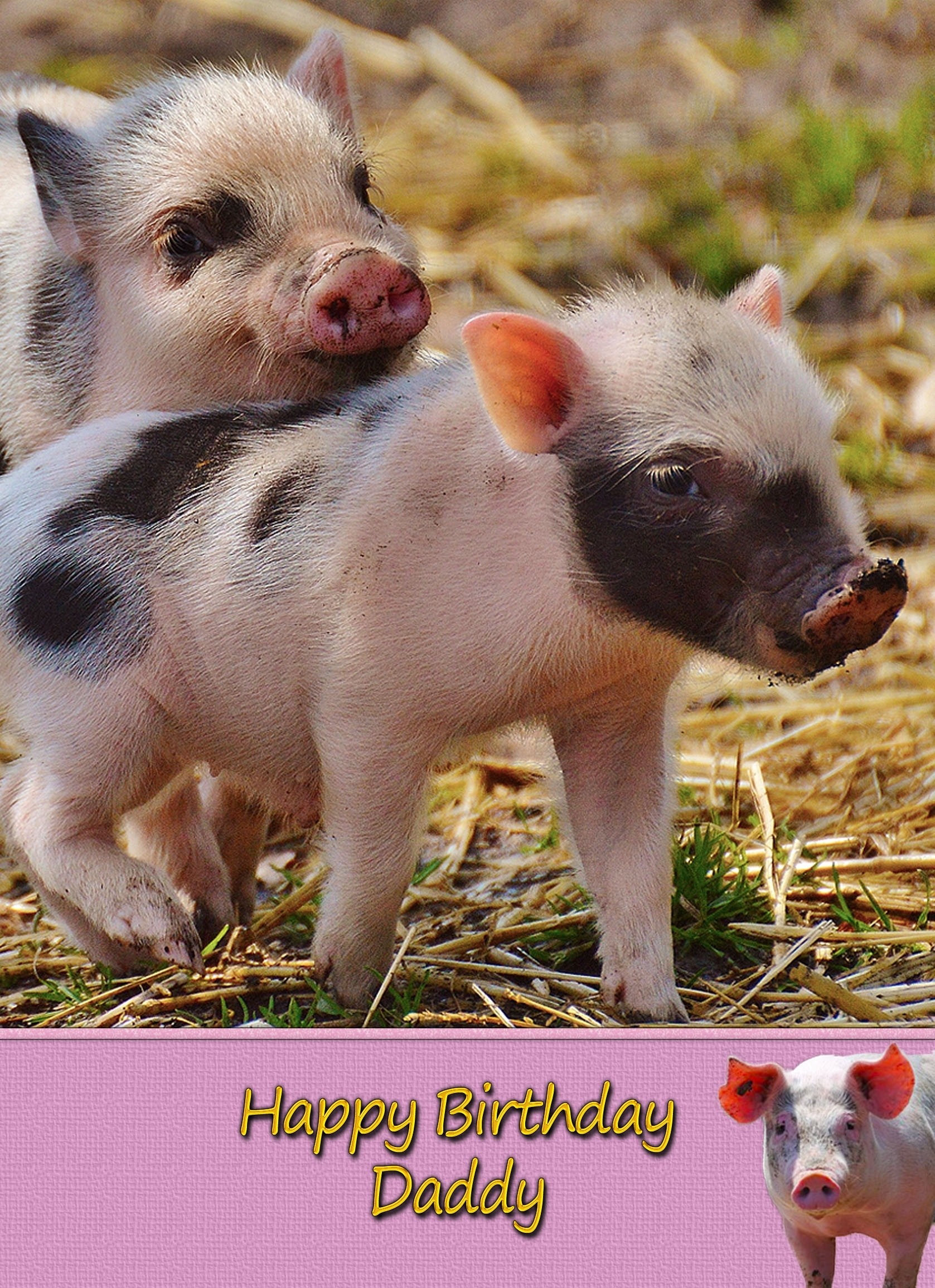 Personalised Pig Card