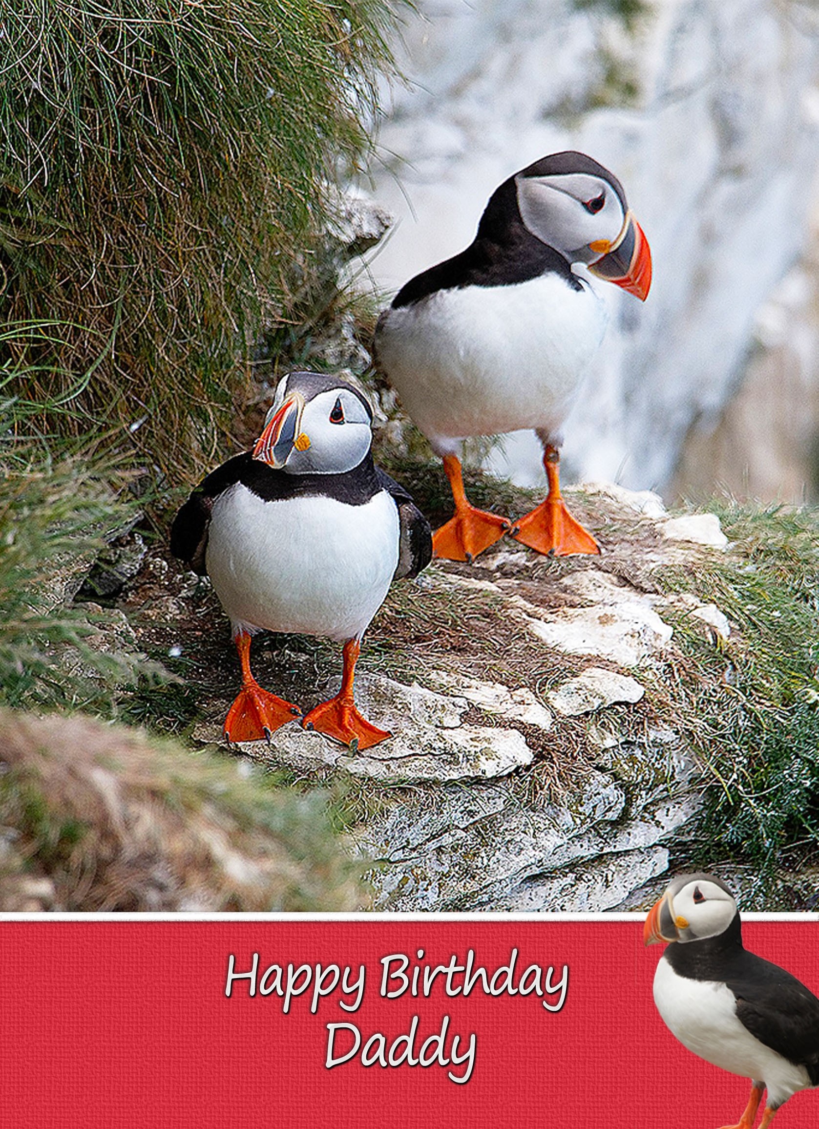 Personalised Puffin Card