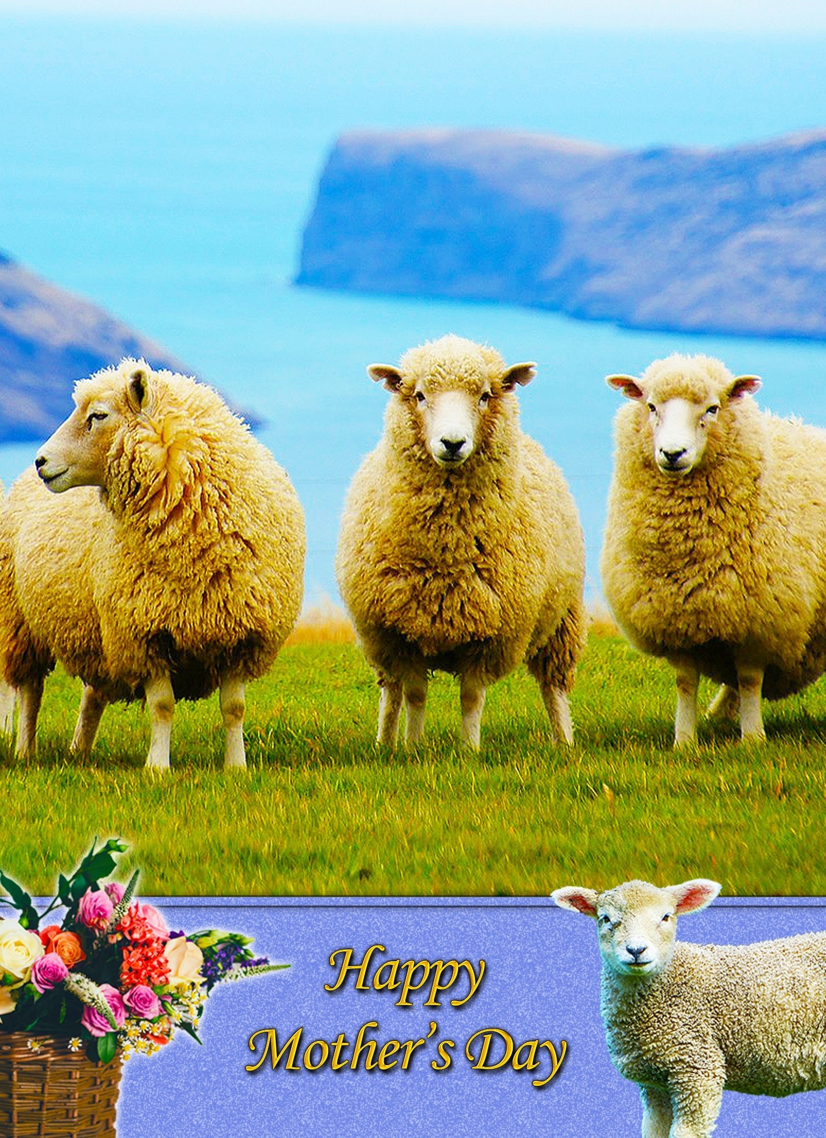 Sheep Mother's Day Card
