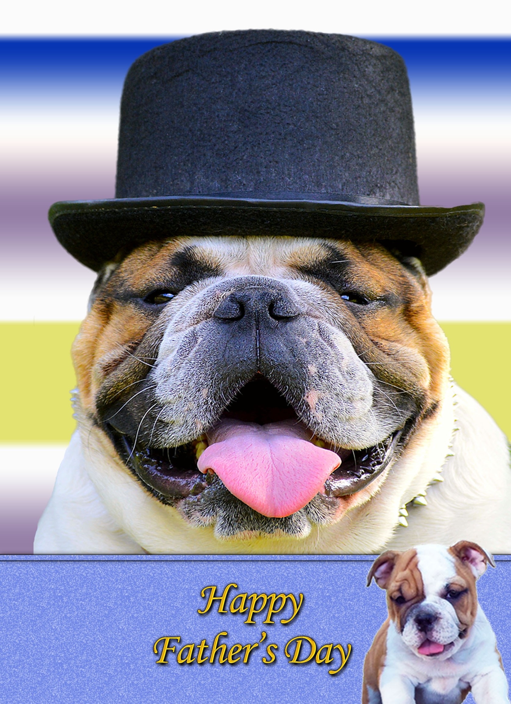 Bulldog Father's Day card