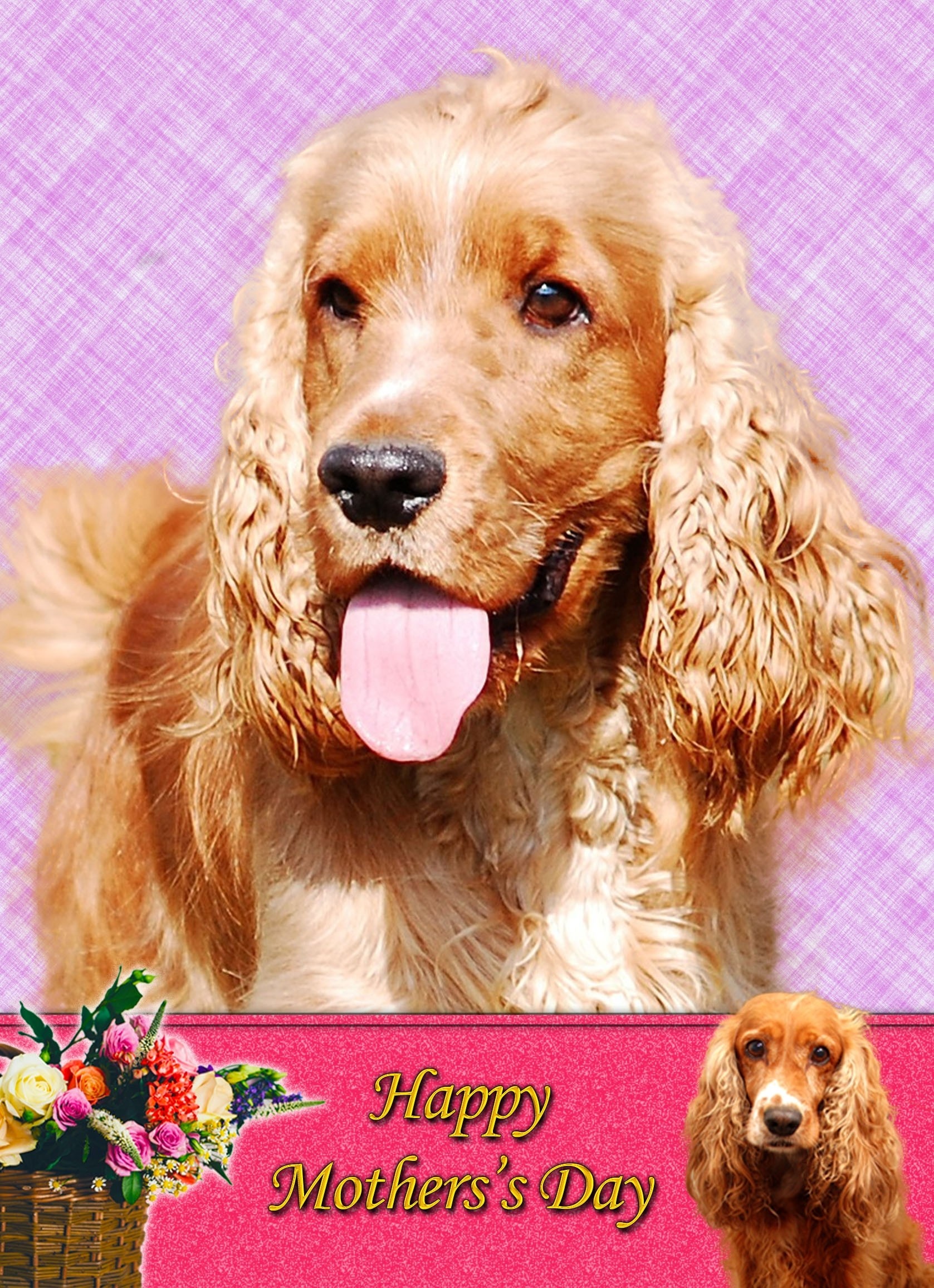 Cocker Spaniel Mother's Day Card