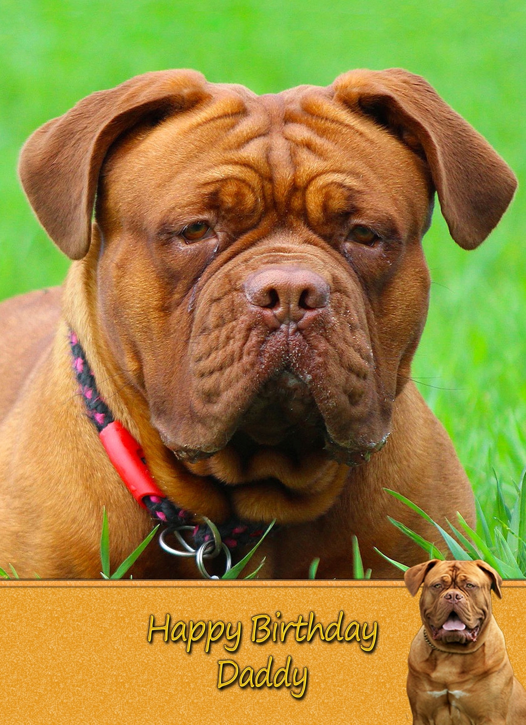 Personalised Dogue de Bordeaux Card