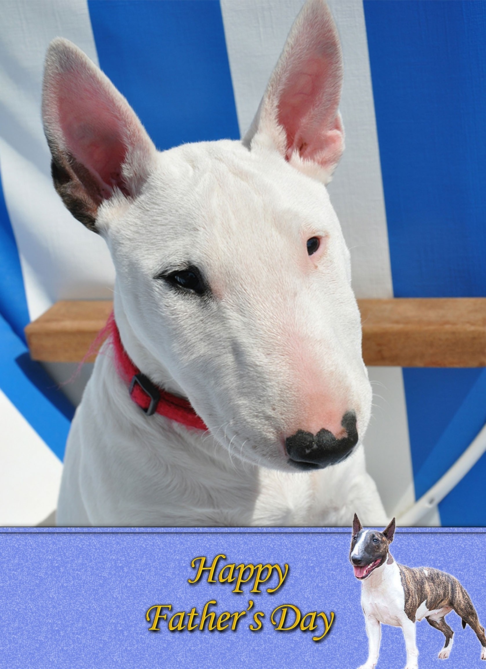 English Bull Terrier Father's Day Card