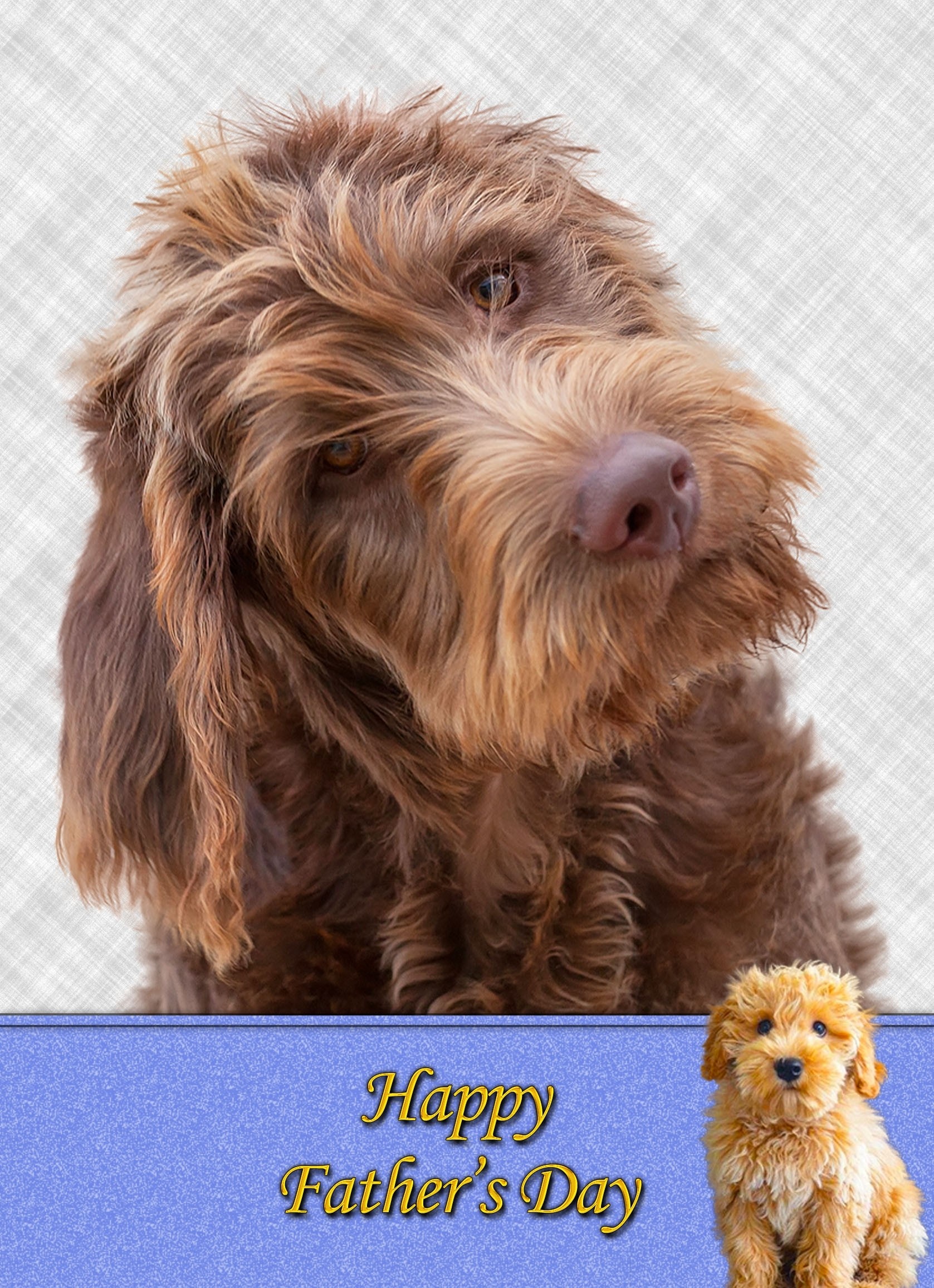 Labradoodle Father's Day Card