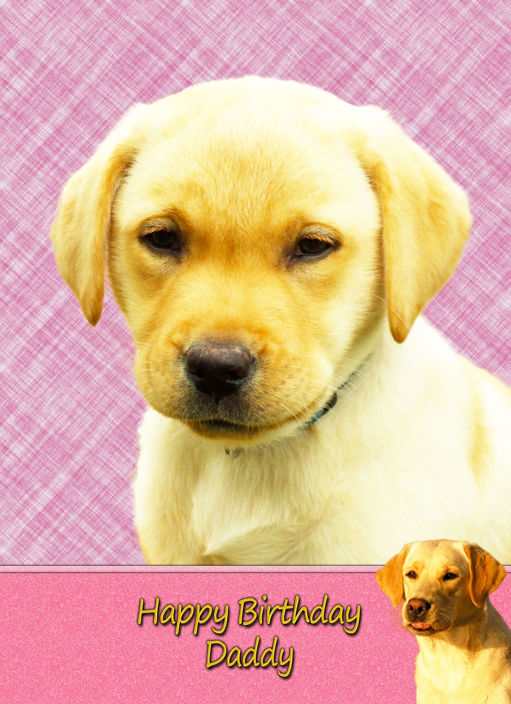 Personalised Golden Labrador Card