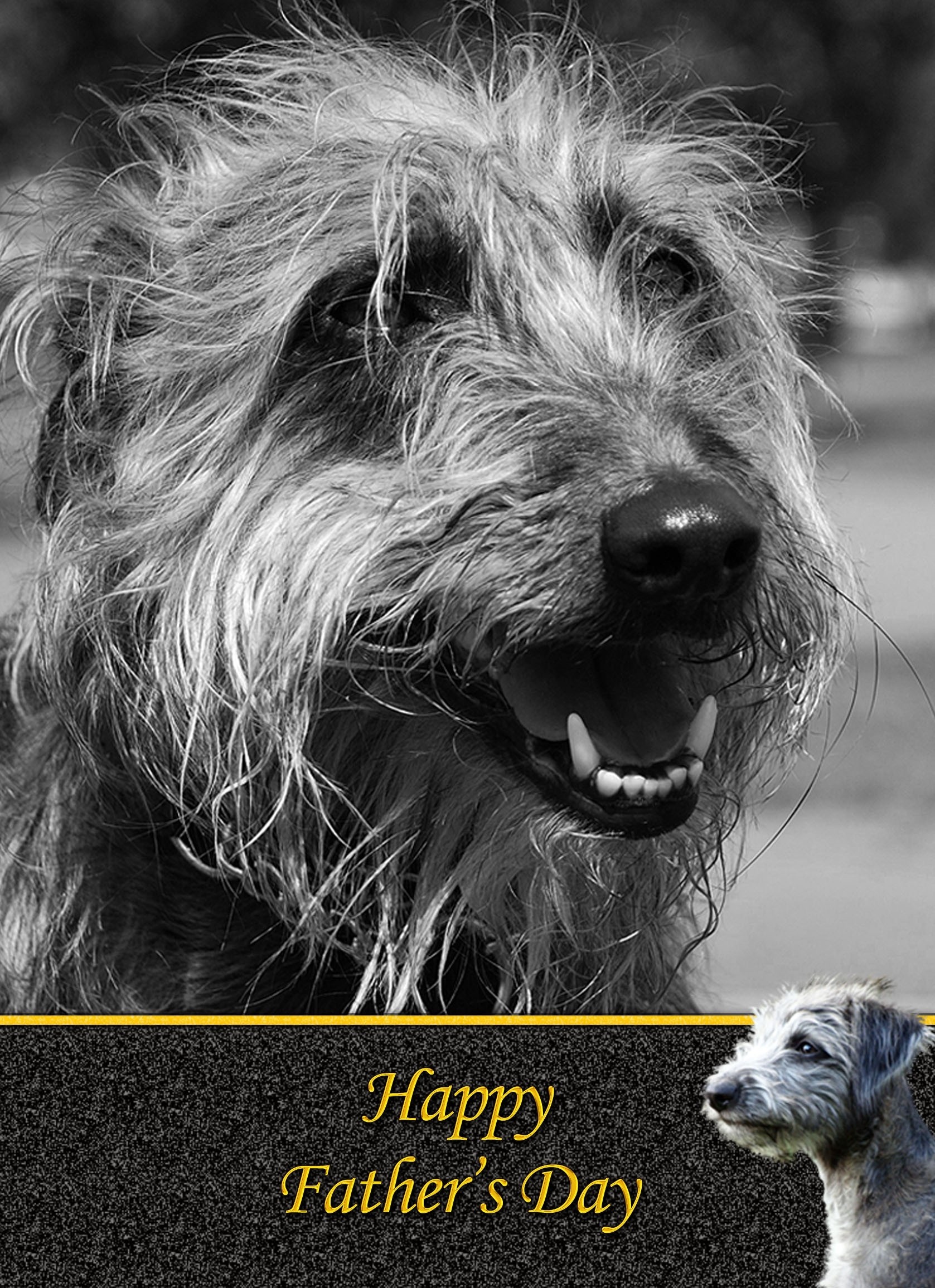 Lurcher Father's Day Card