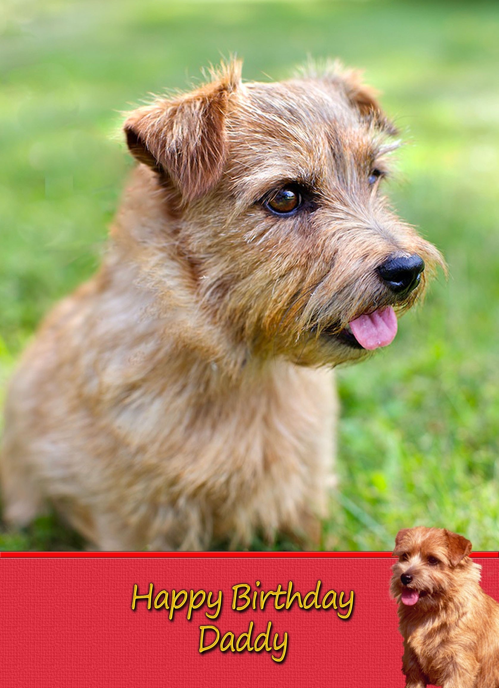 Personalised Norfolk Terrier Card