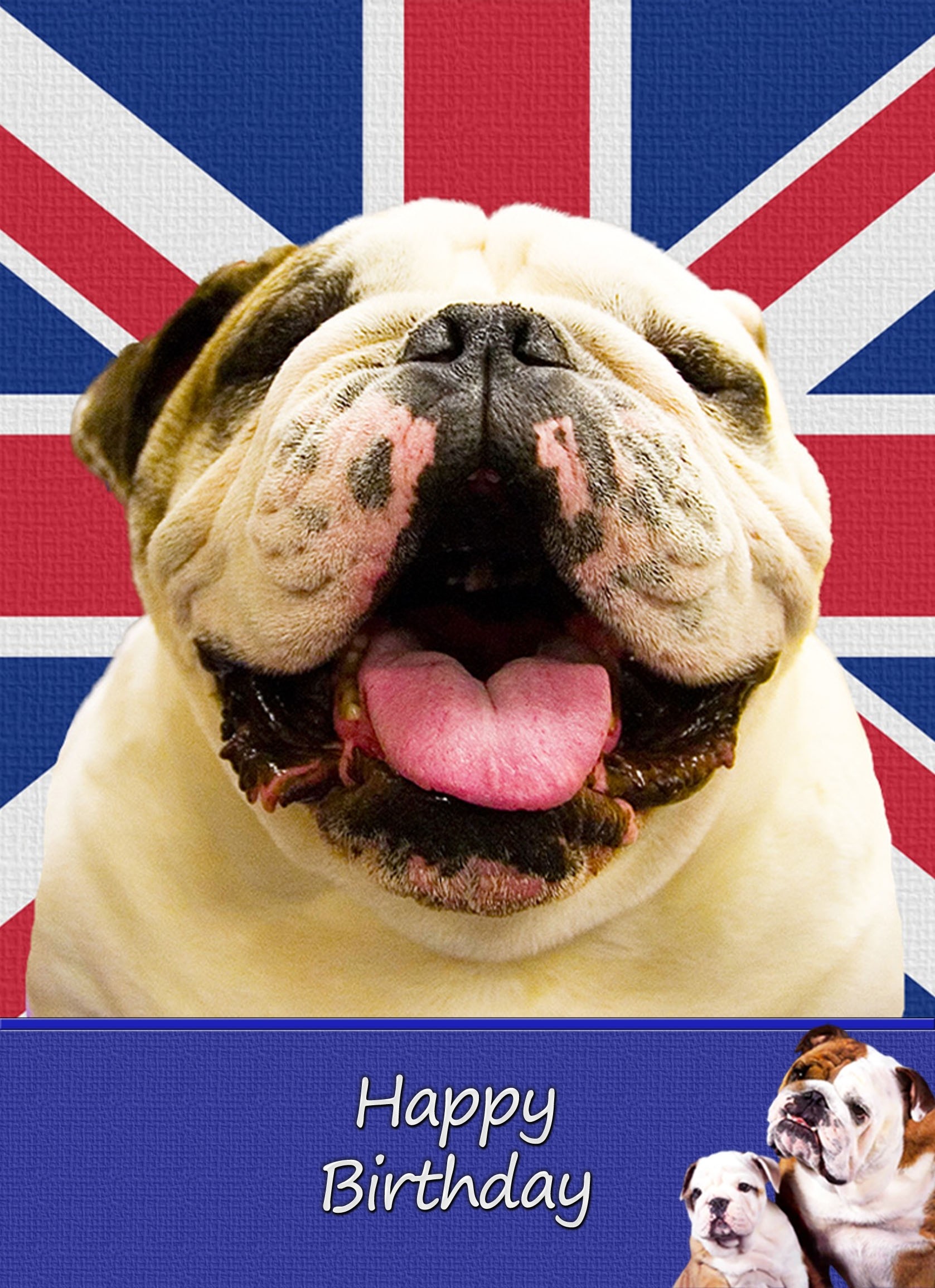 Bulldog Birthday Card