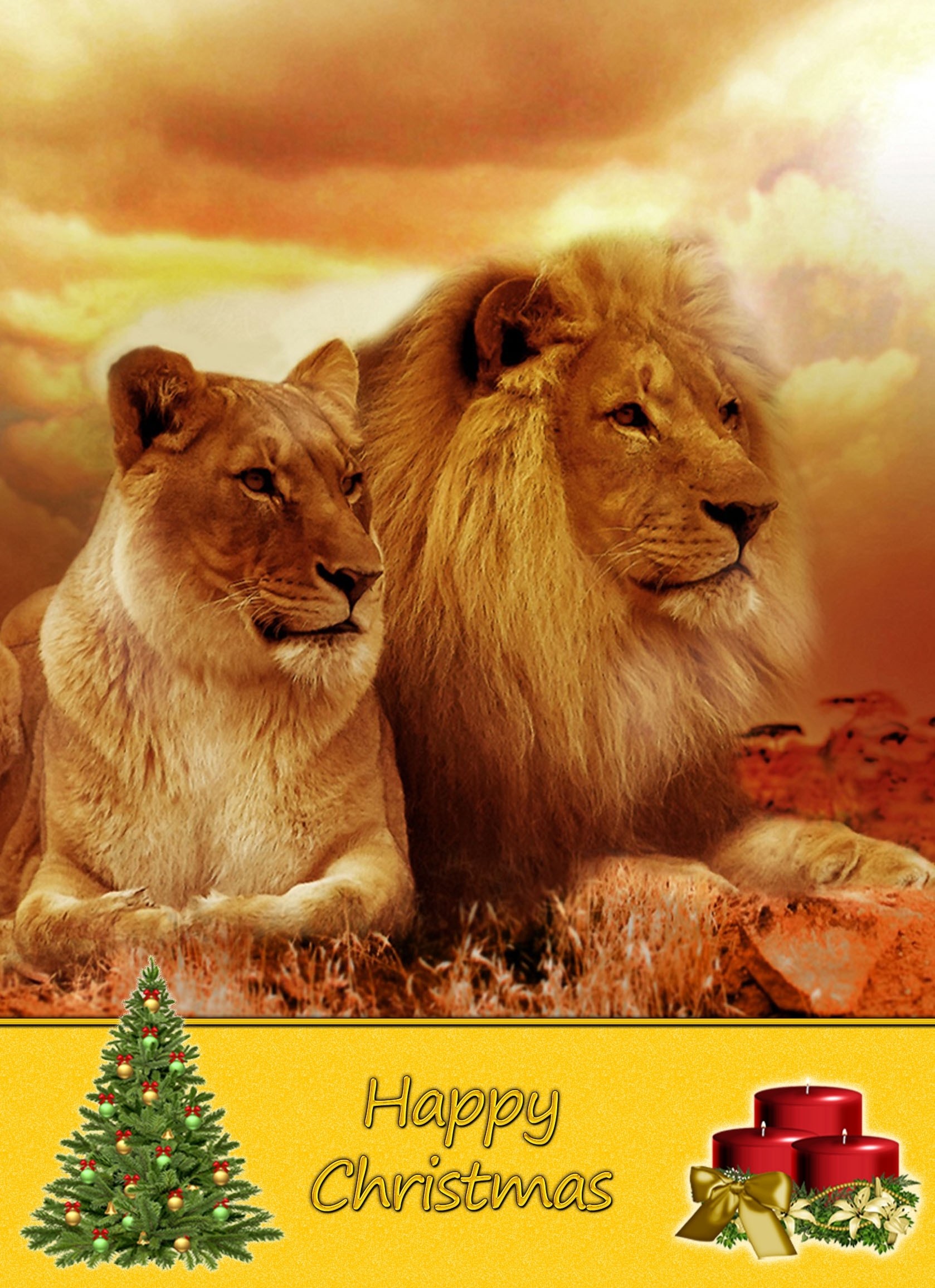 Lion Christmas Card