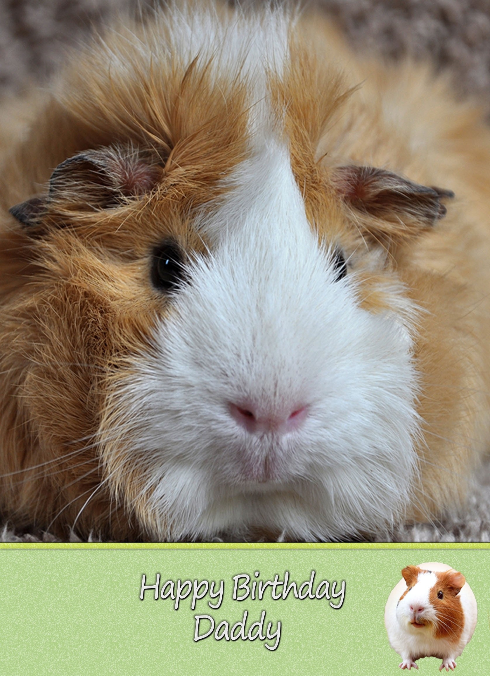 Personalised Guinea Pig Card