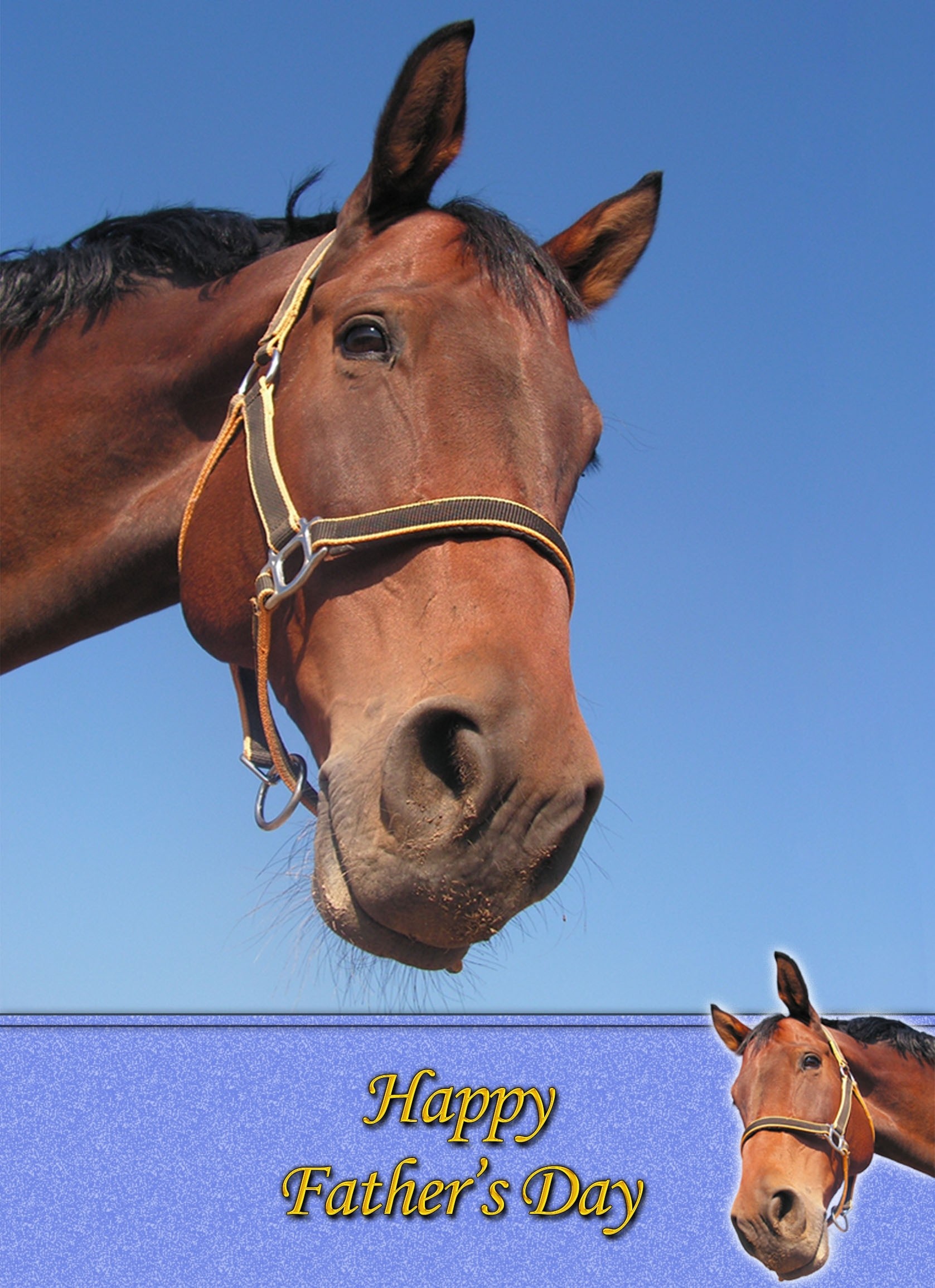 Horse Father's Day Card