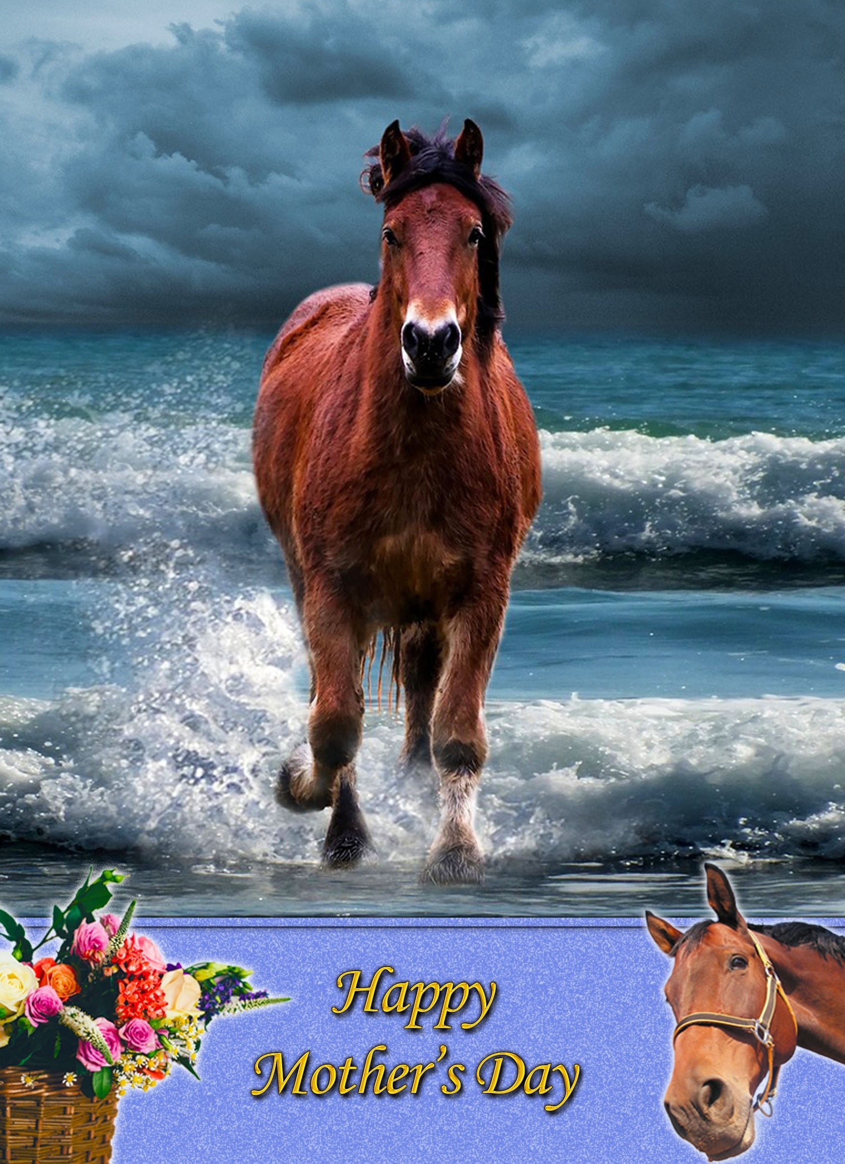 Horse Mother's Day Card