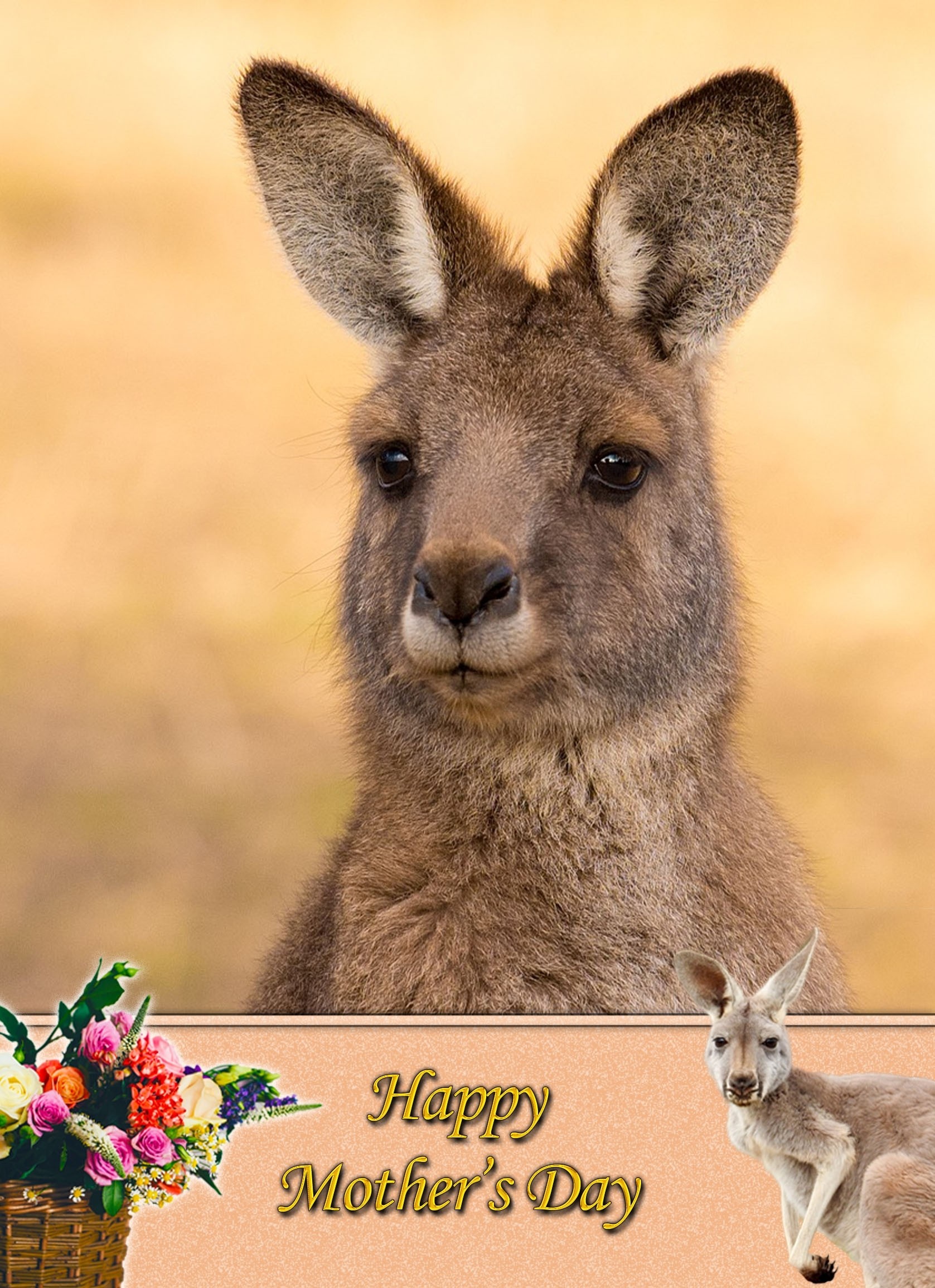 Kangaroo Mother's Day Card