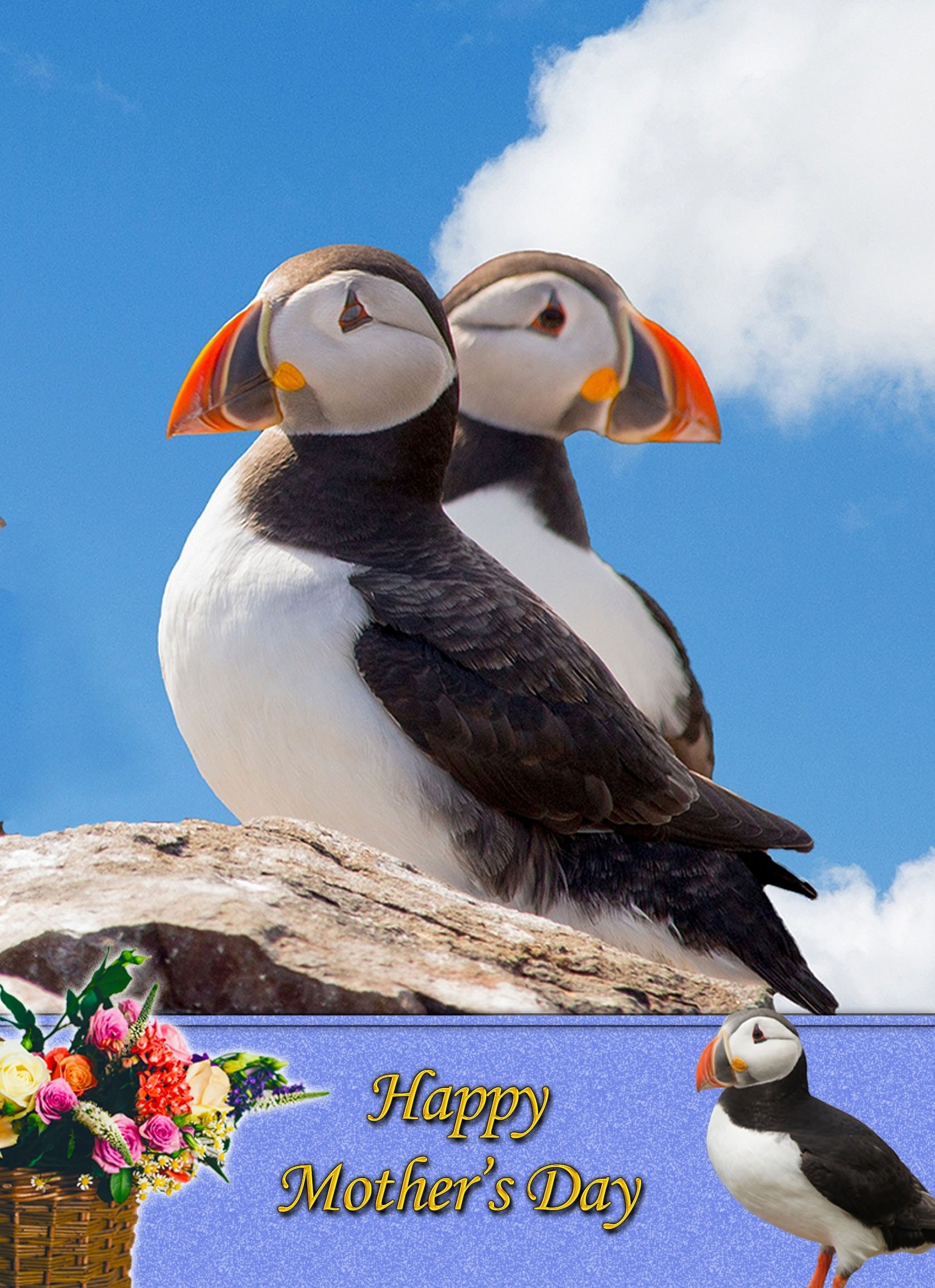 Puffin Mother's Day Card