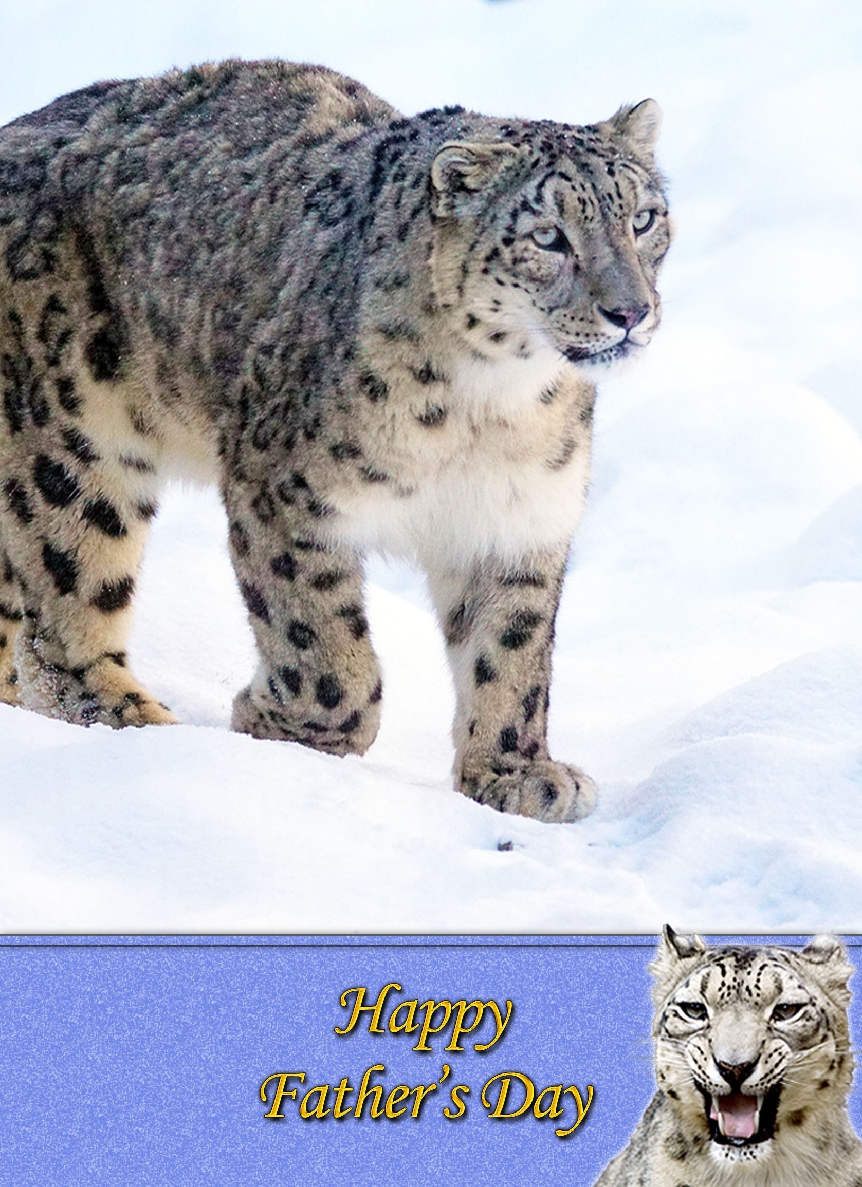 Snow Leopard Father's Day Card