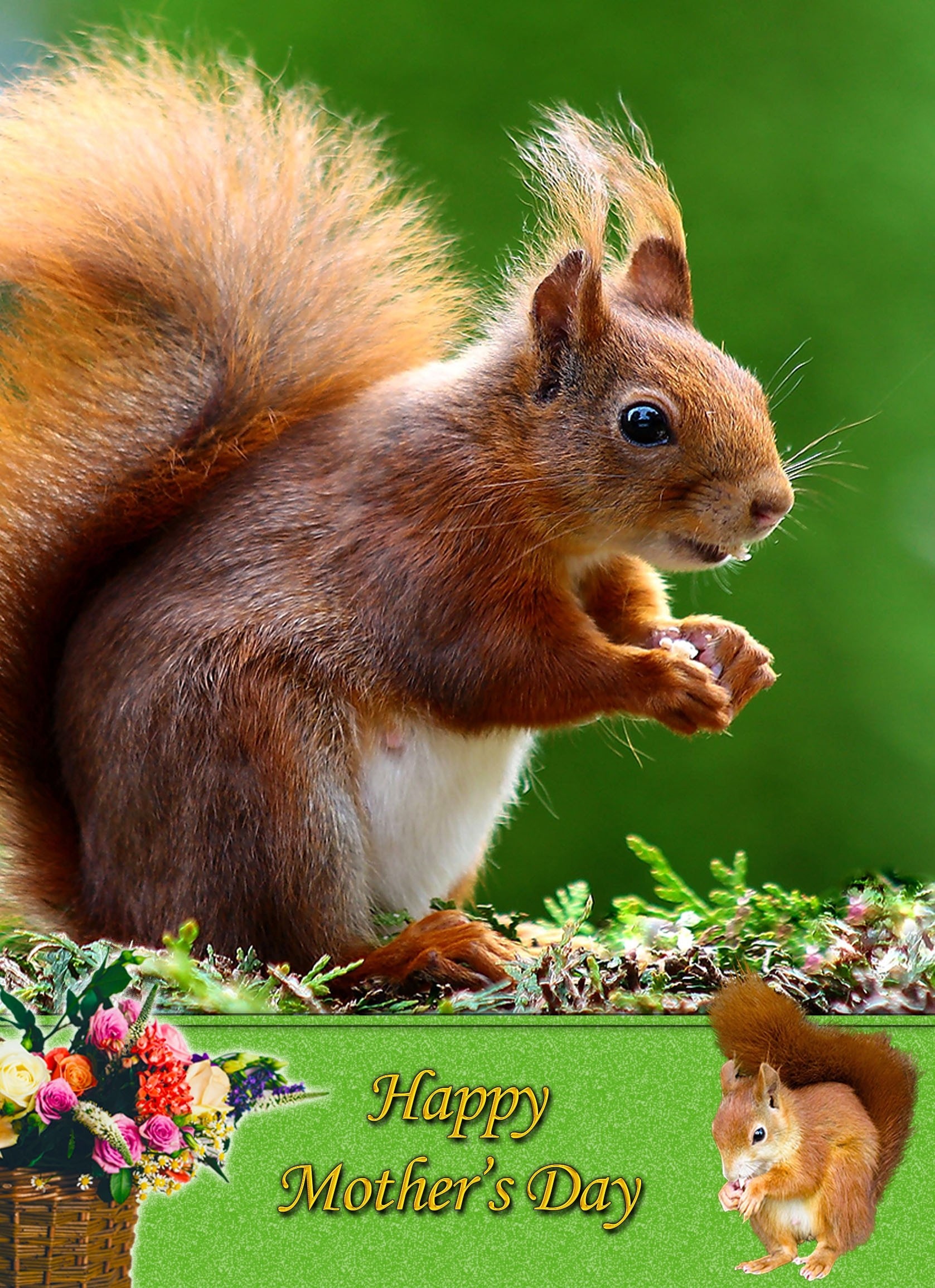 Squirrel Mother's Day Card