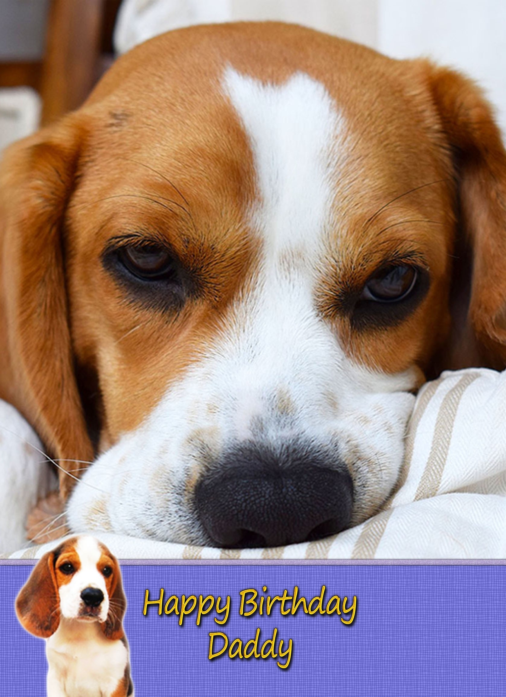 Personalised Beagle Card