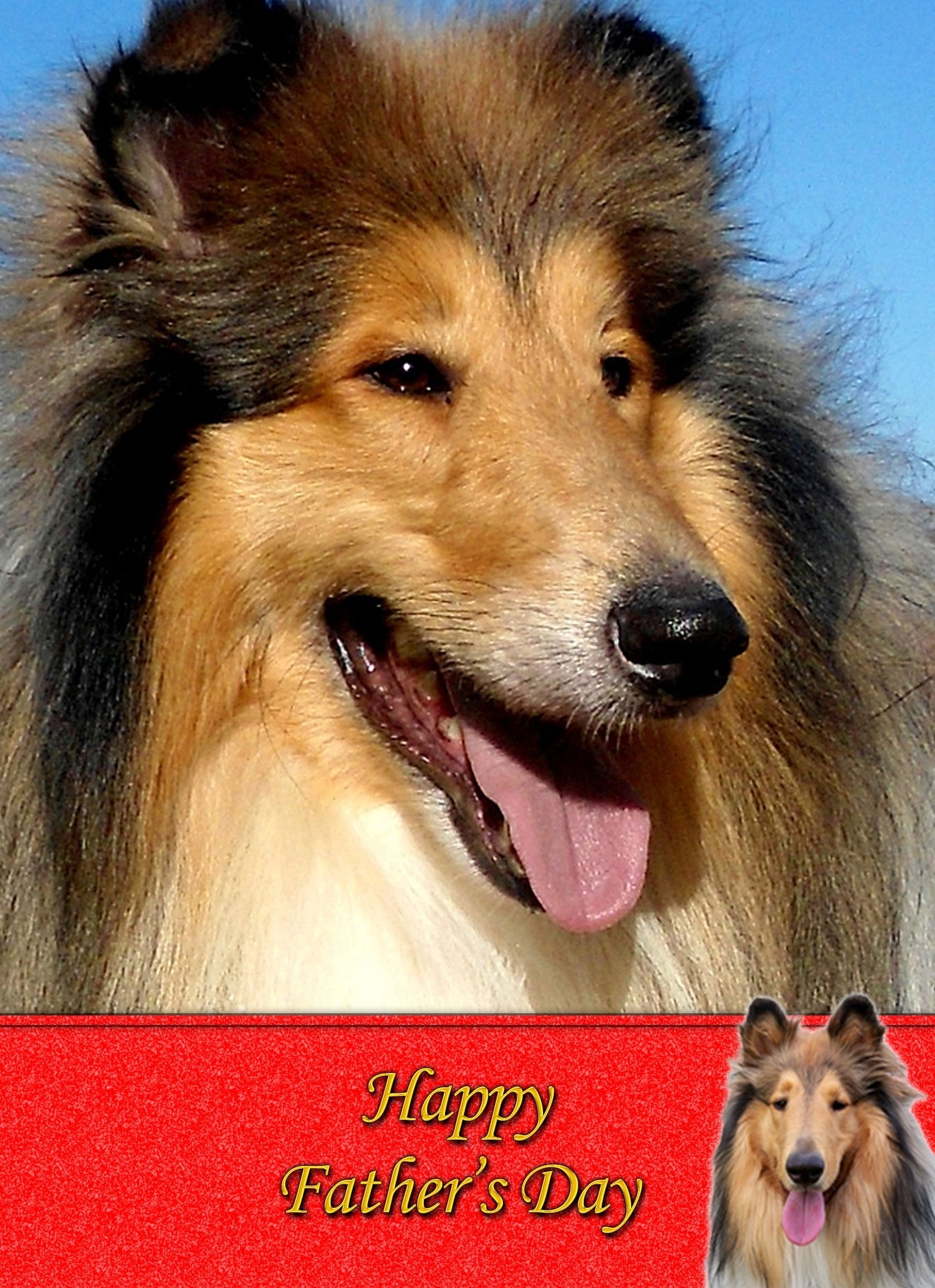Rough Collie Father's Day Card