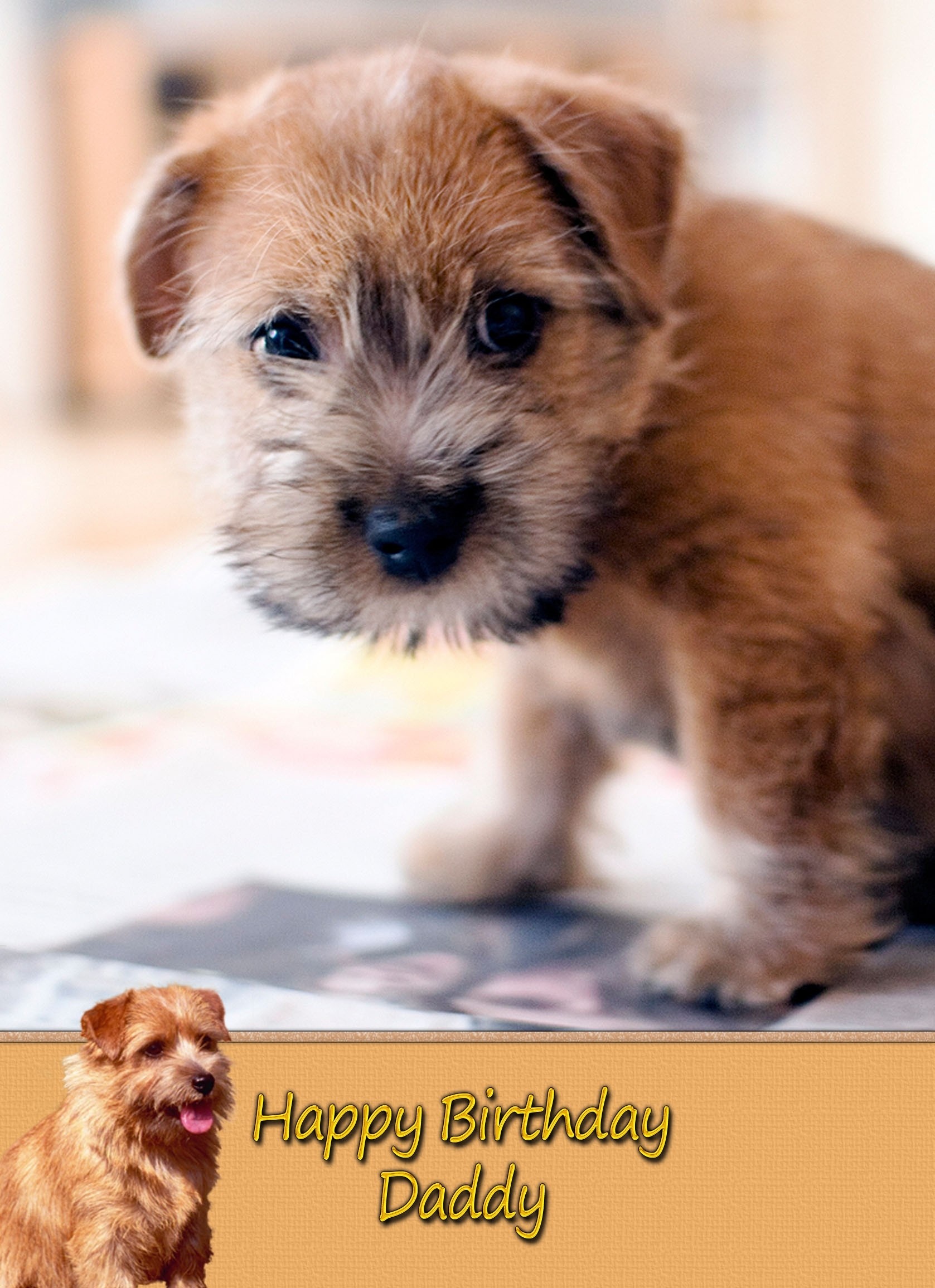Personalised Norfolk Terrier Card