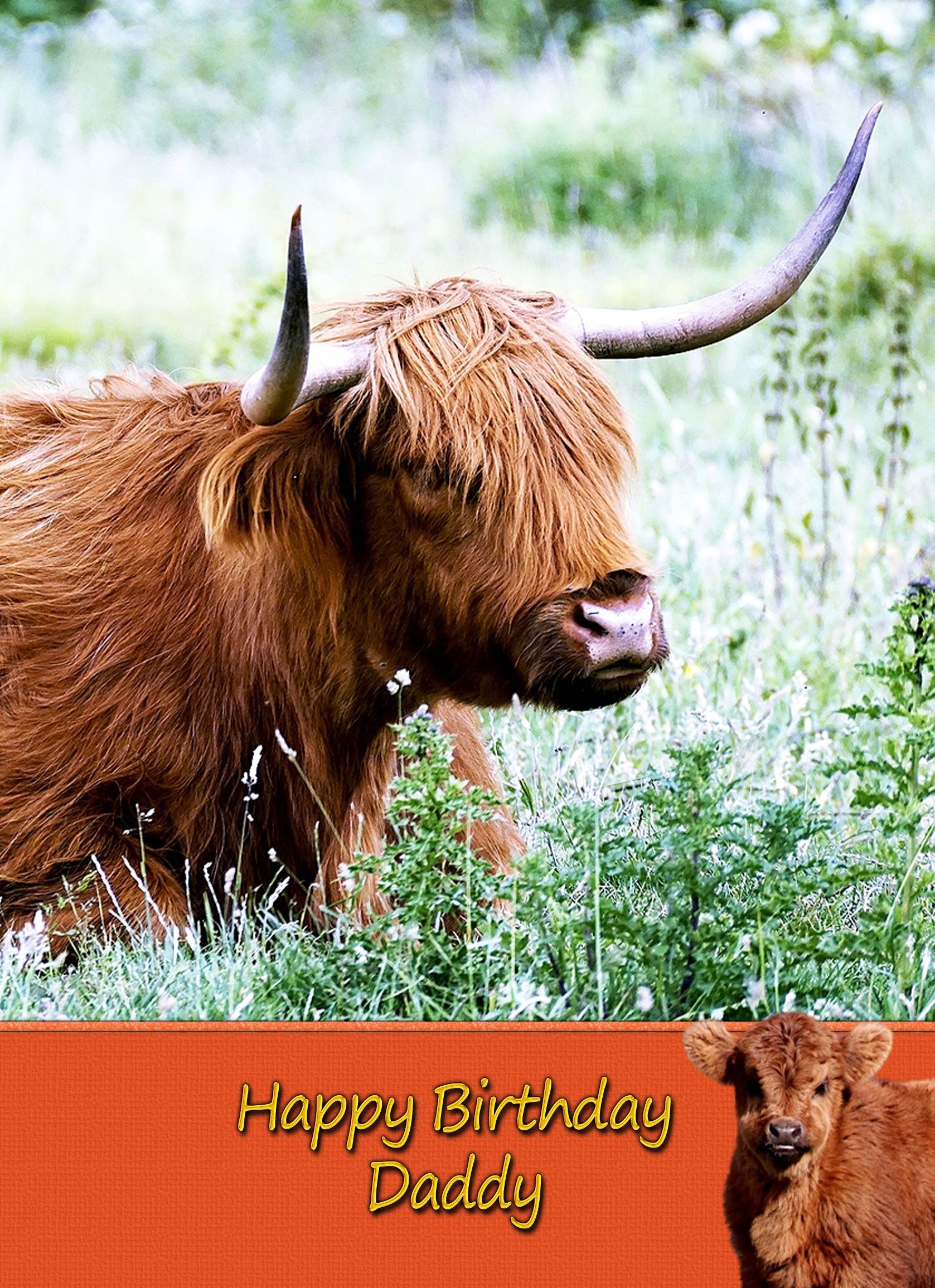 Personalised Cow Card